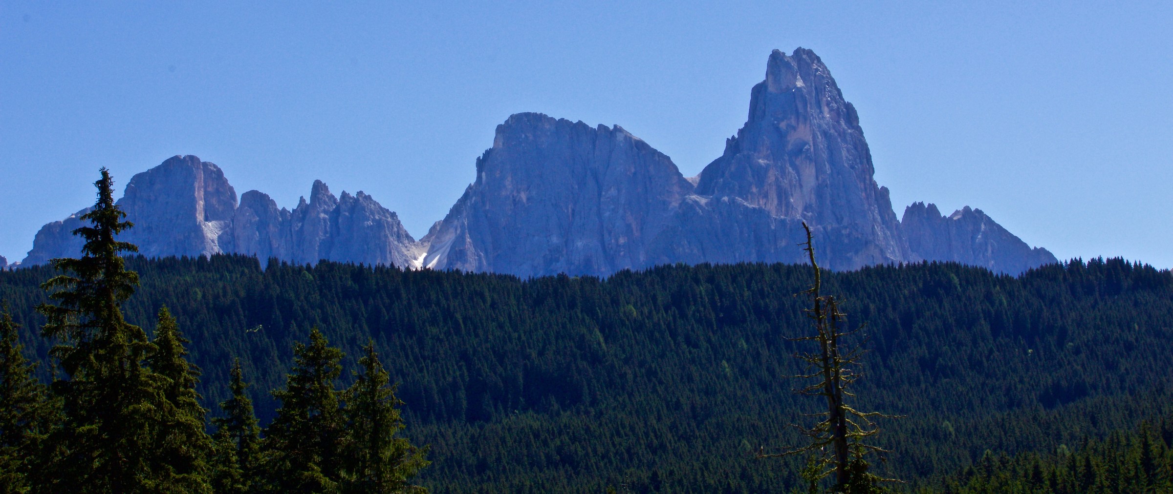 Non le perdi mai di vista
