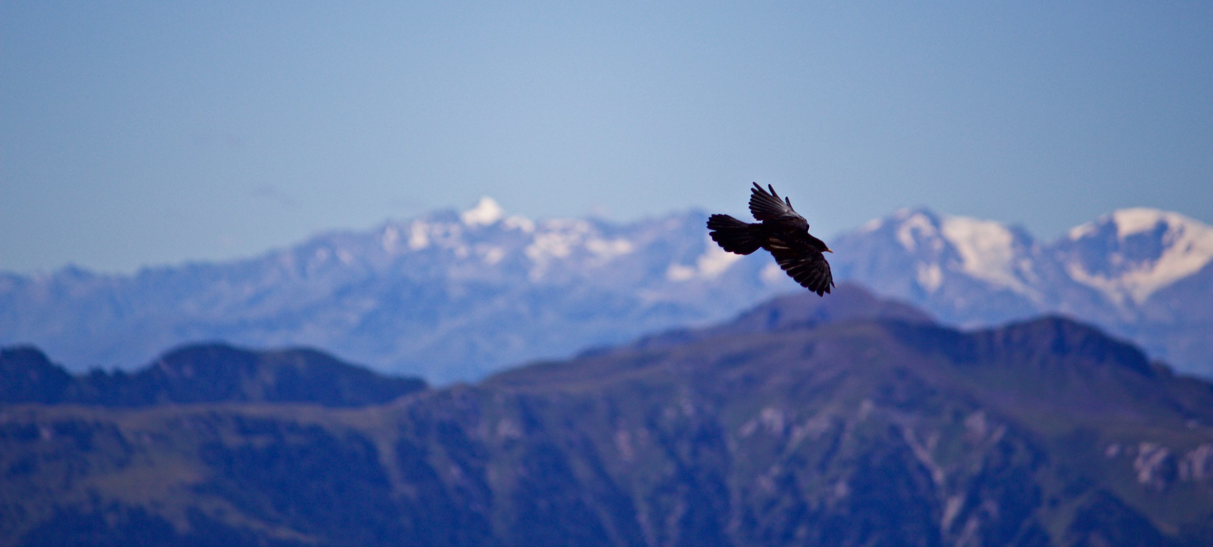 Volare tra le montagne