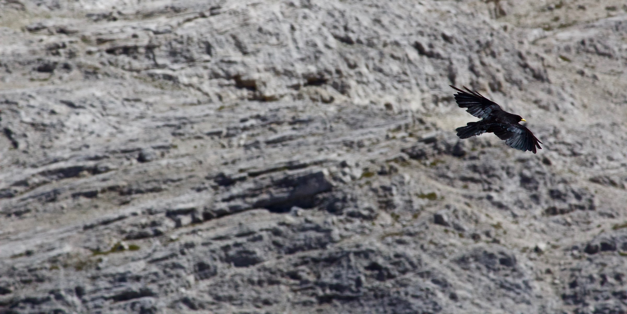 Volare tra le montagne 2