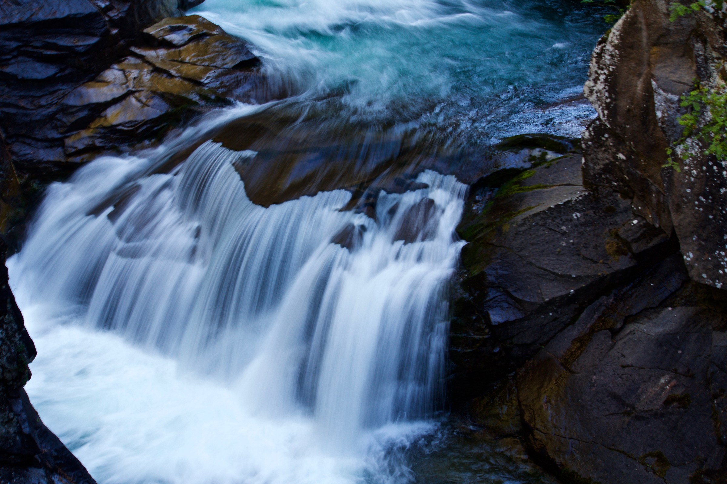Fiume nel Paneveggio 3