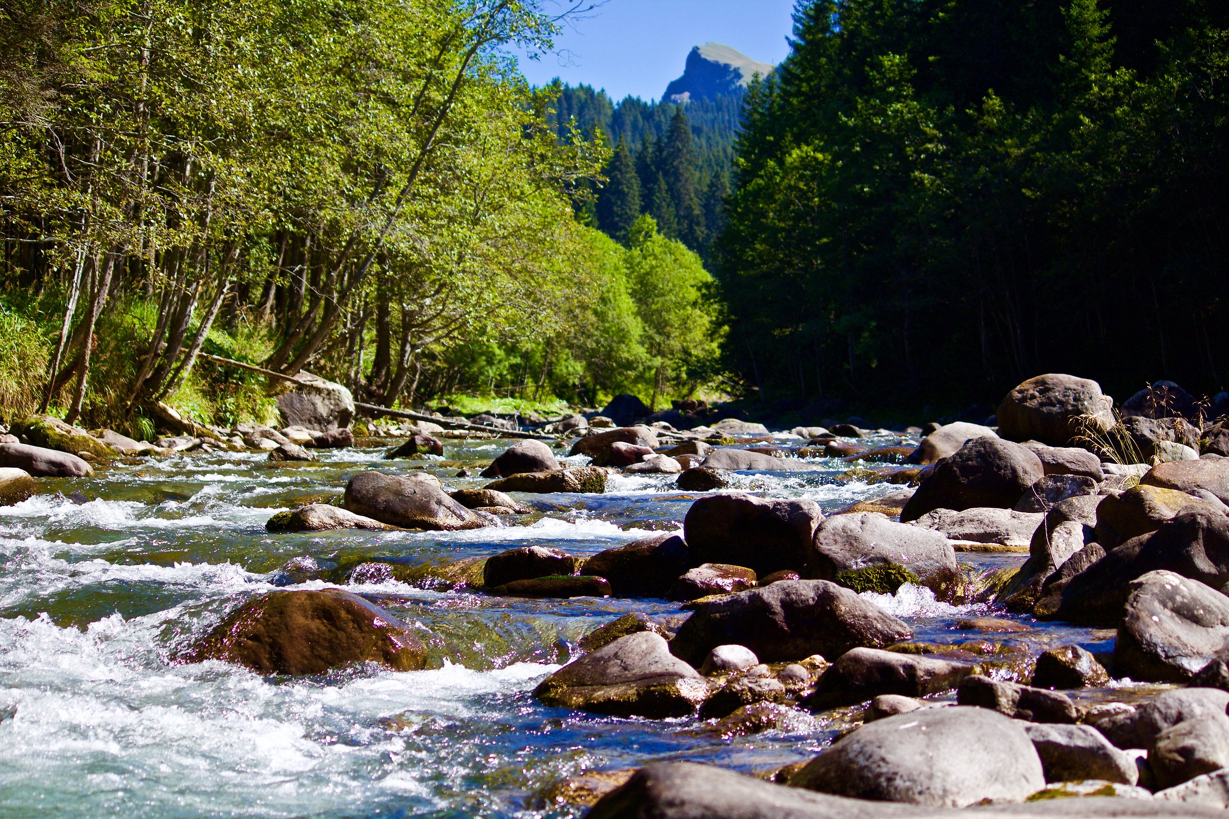 Fiume nel Paneveggio 3