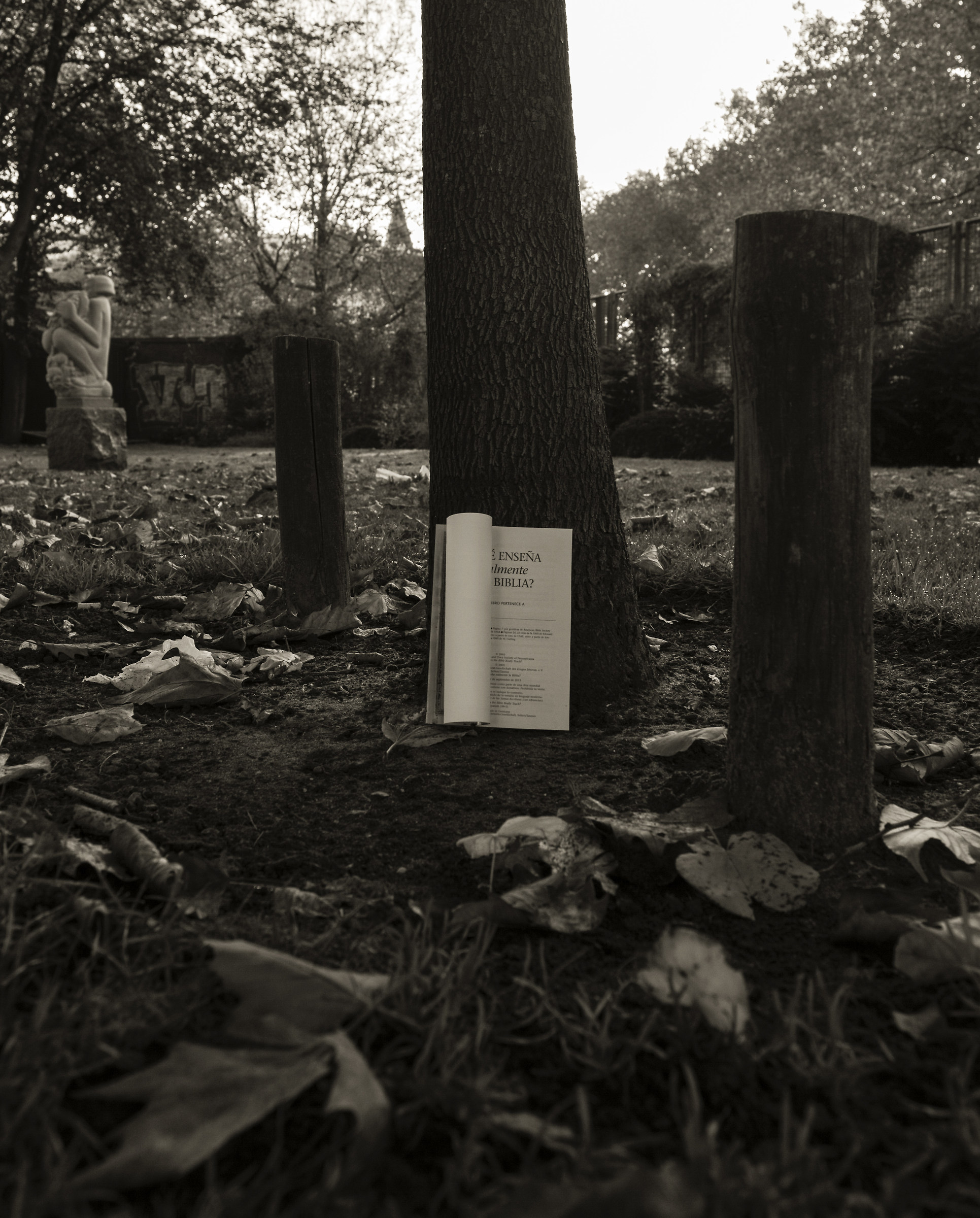 Amsterdam Book .....