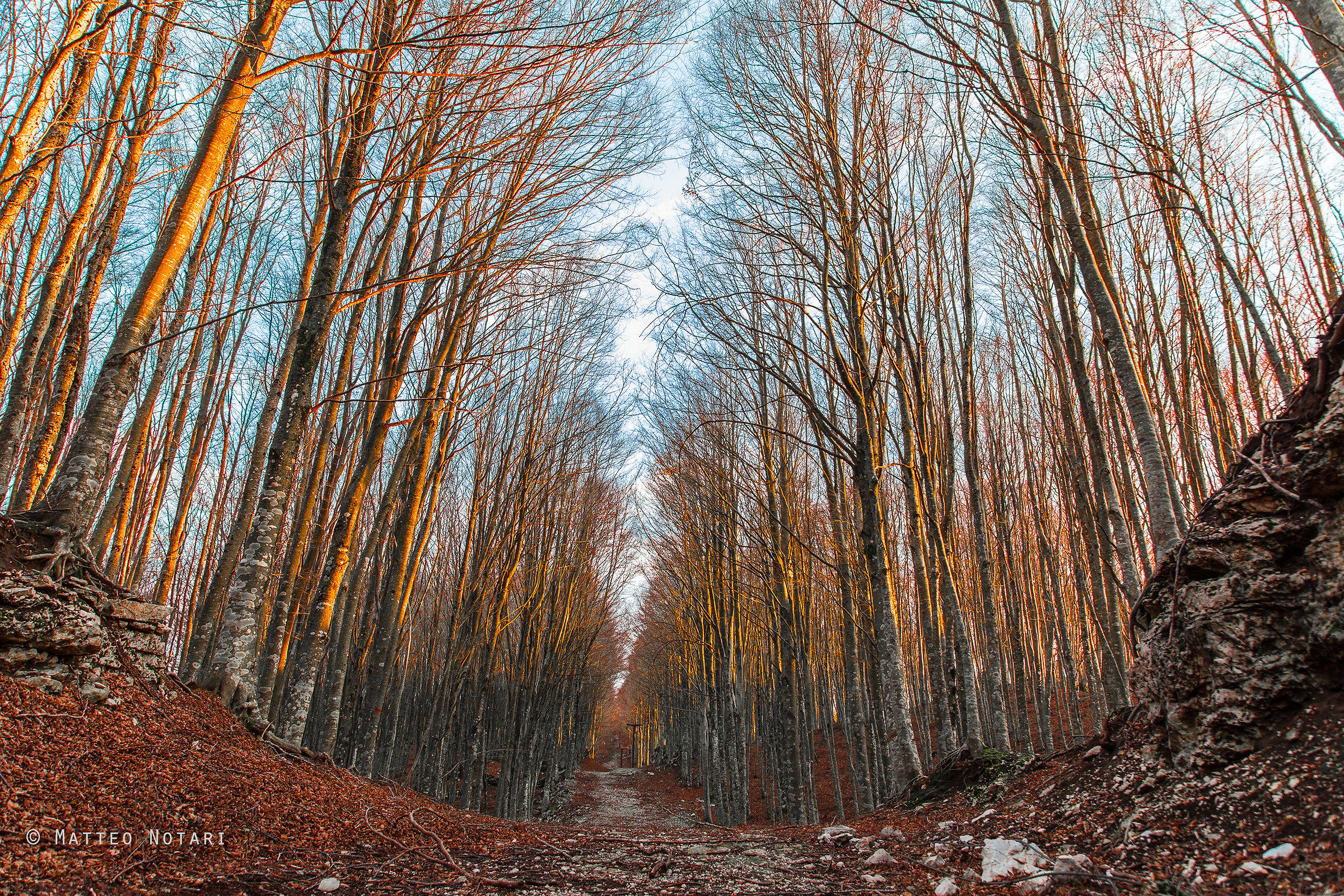 there was once a chairlift