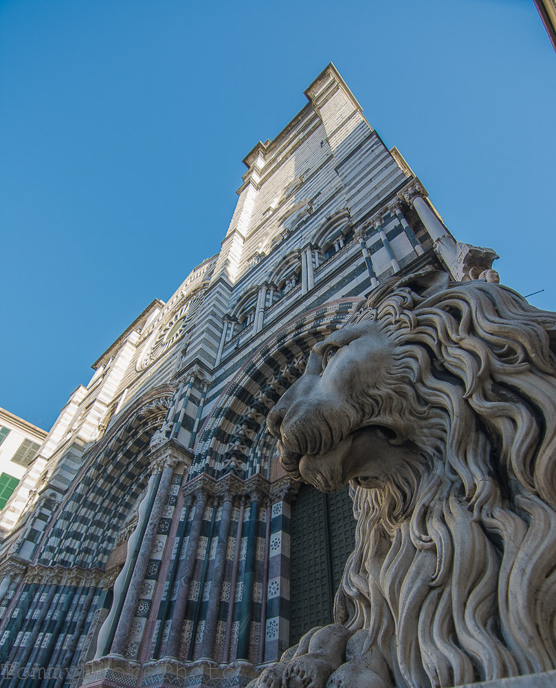 cattedrale s. lorenzo a Genova