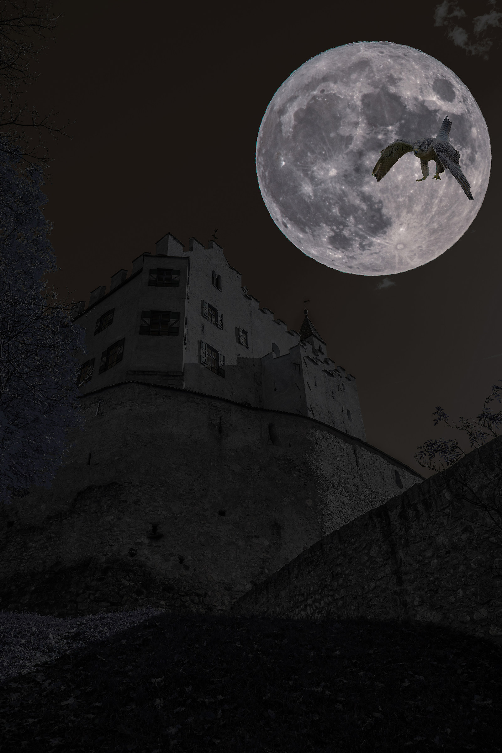 Superluna al castello di Brunico con falco