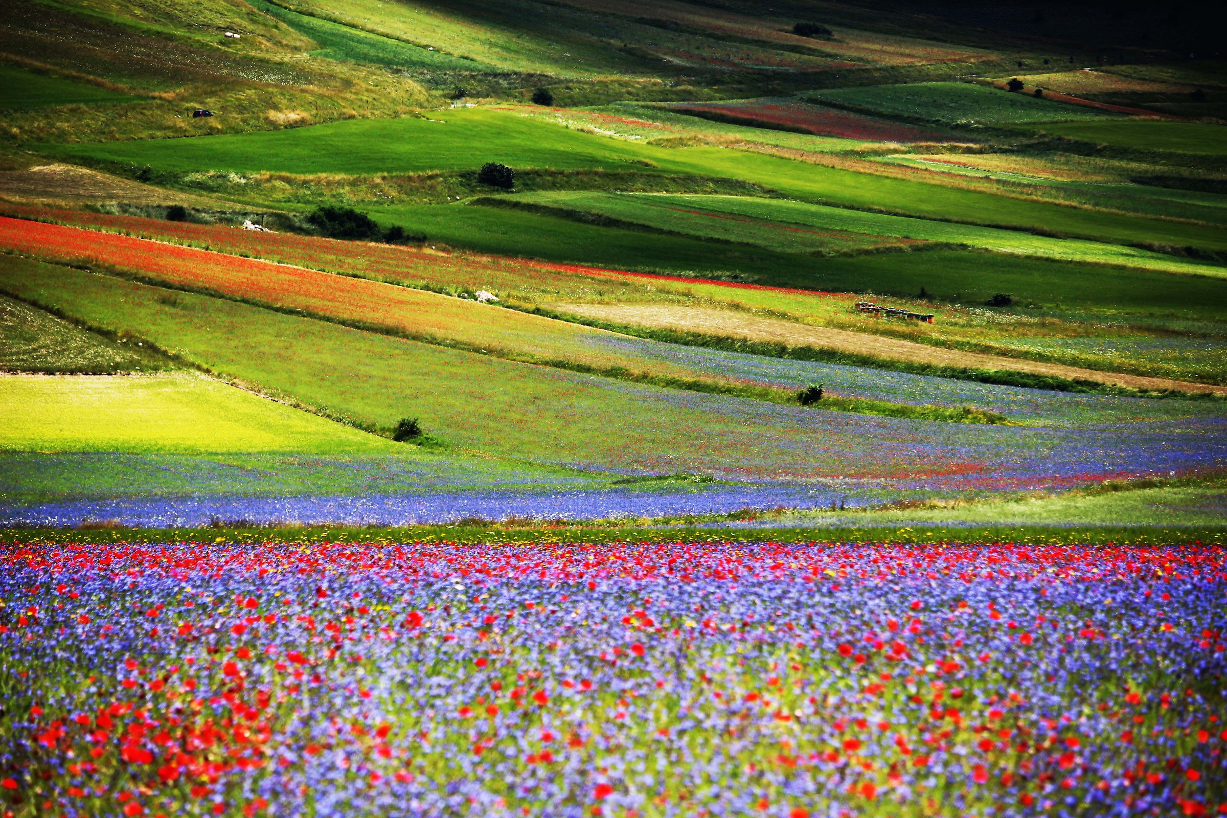 Castelluccio