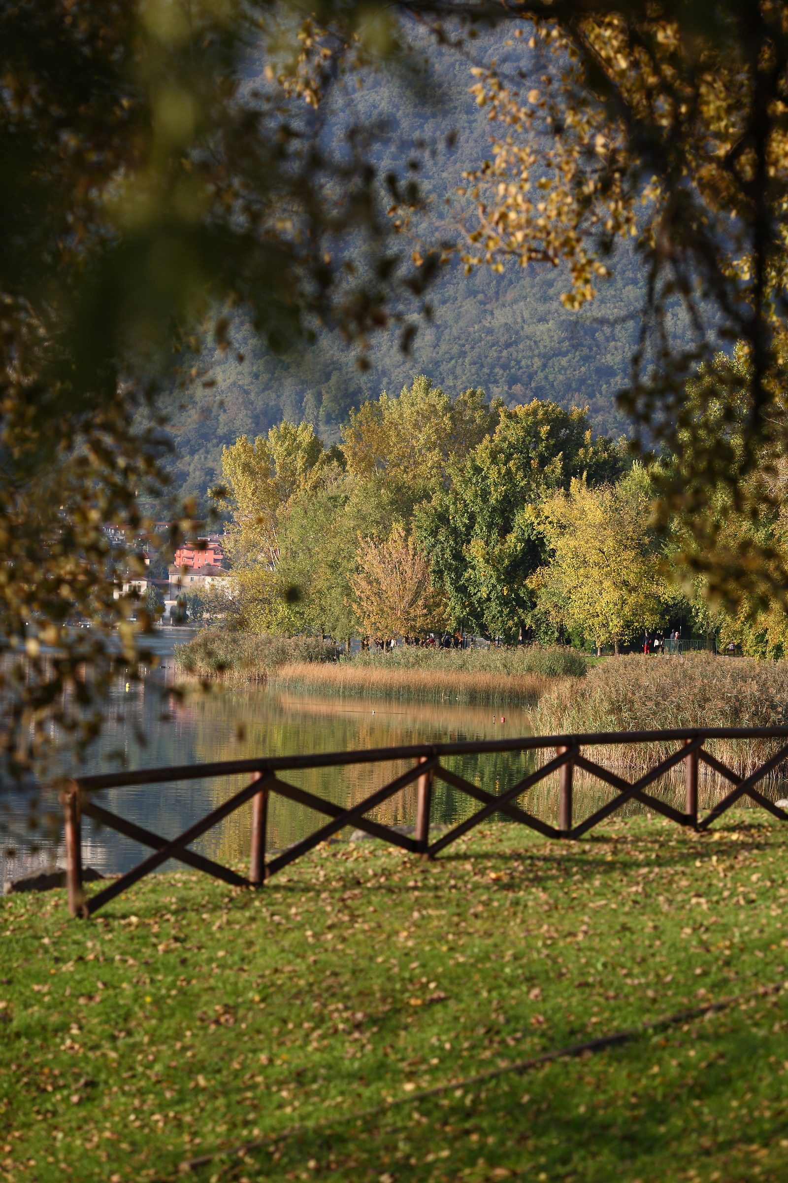 Untitled Photo