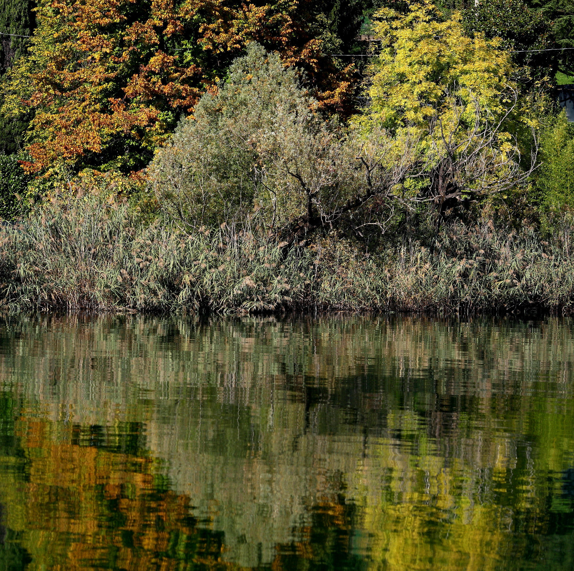 Untitled Photo