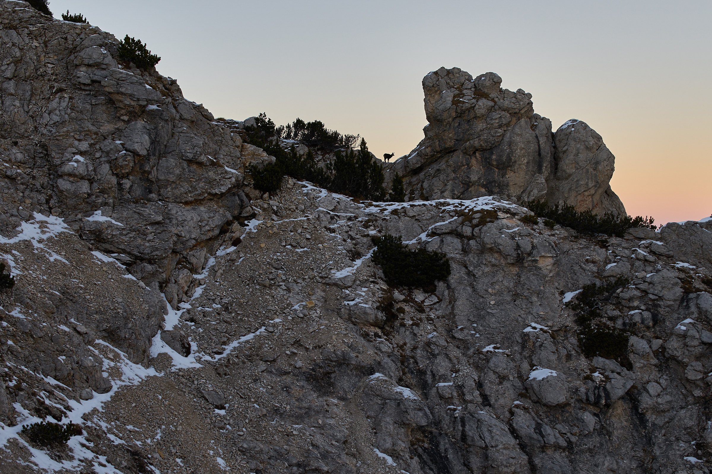 suede the last light