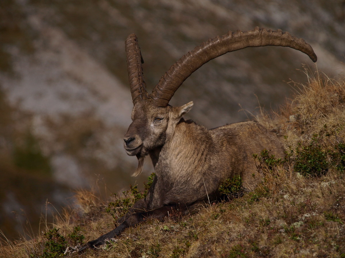 "In the shadow of the last sun"