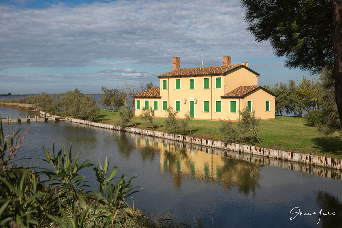 In the valleys of the Po Delta 4