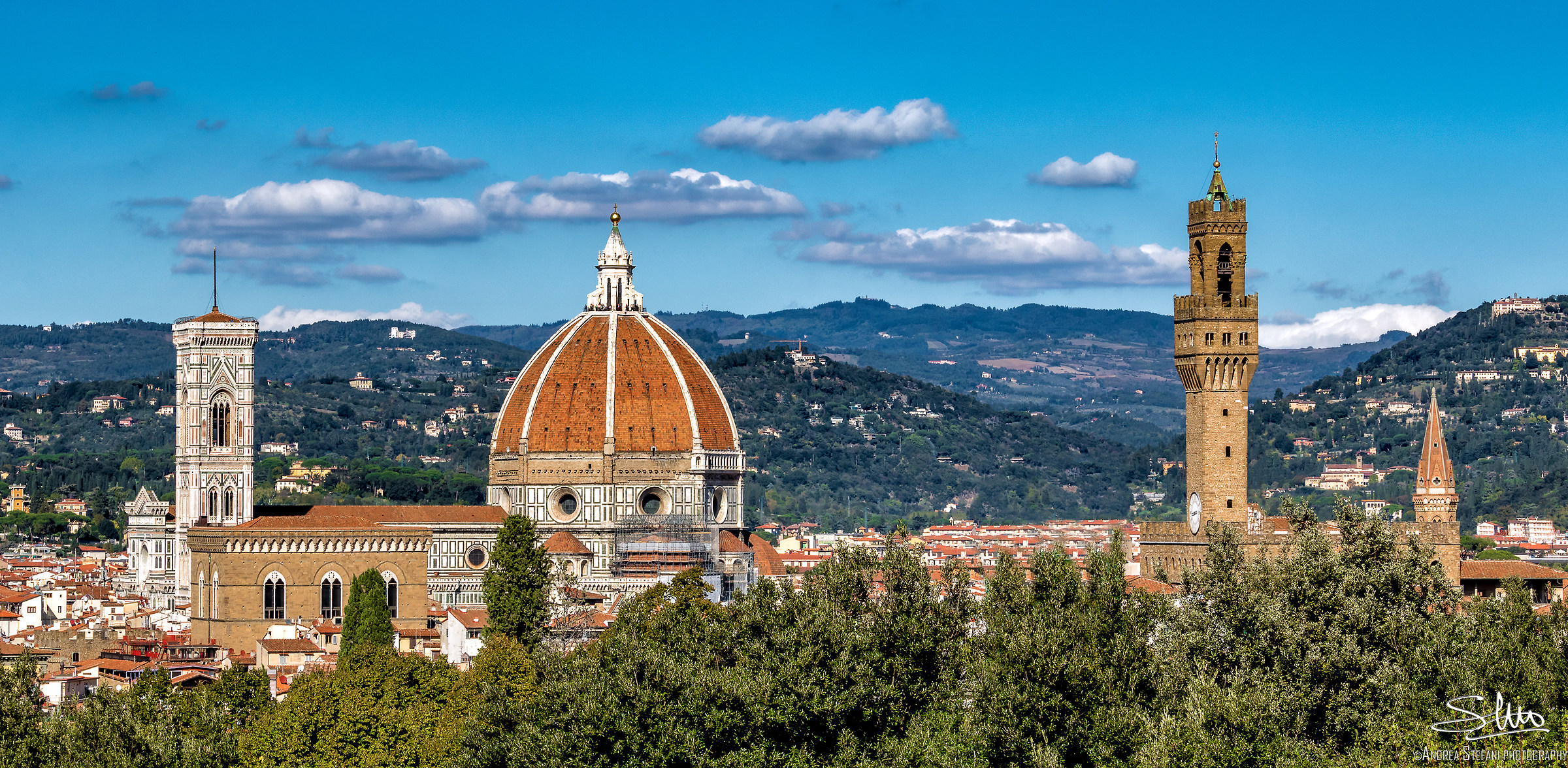 Florence, the cradle