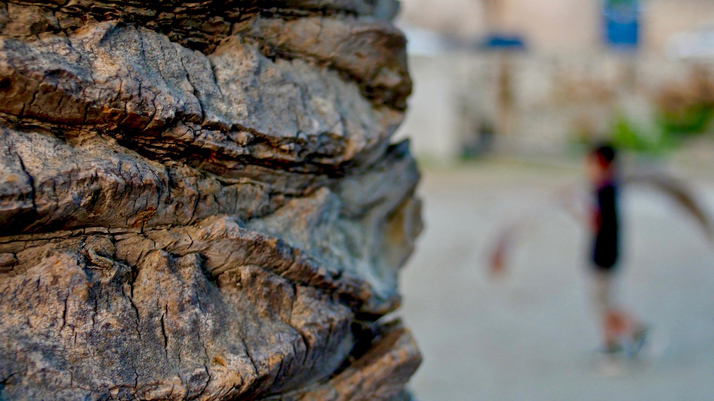 San Fiorenzo, bambini e palme