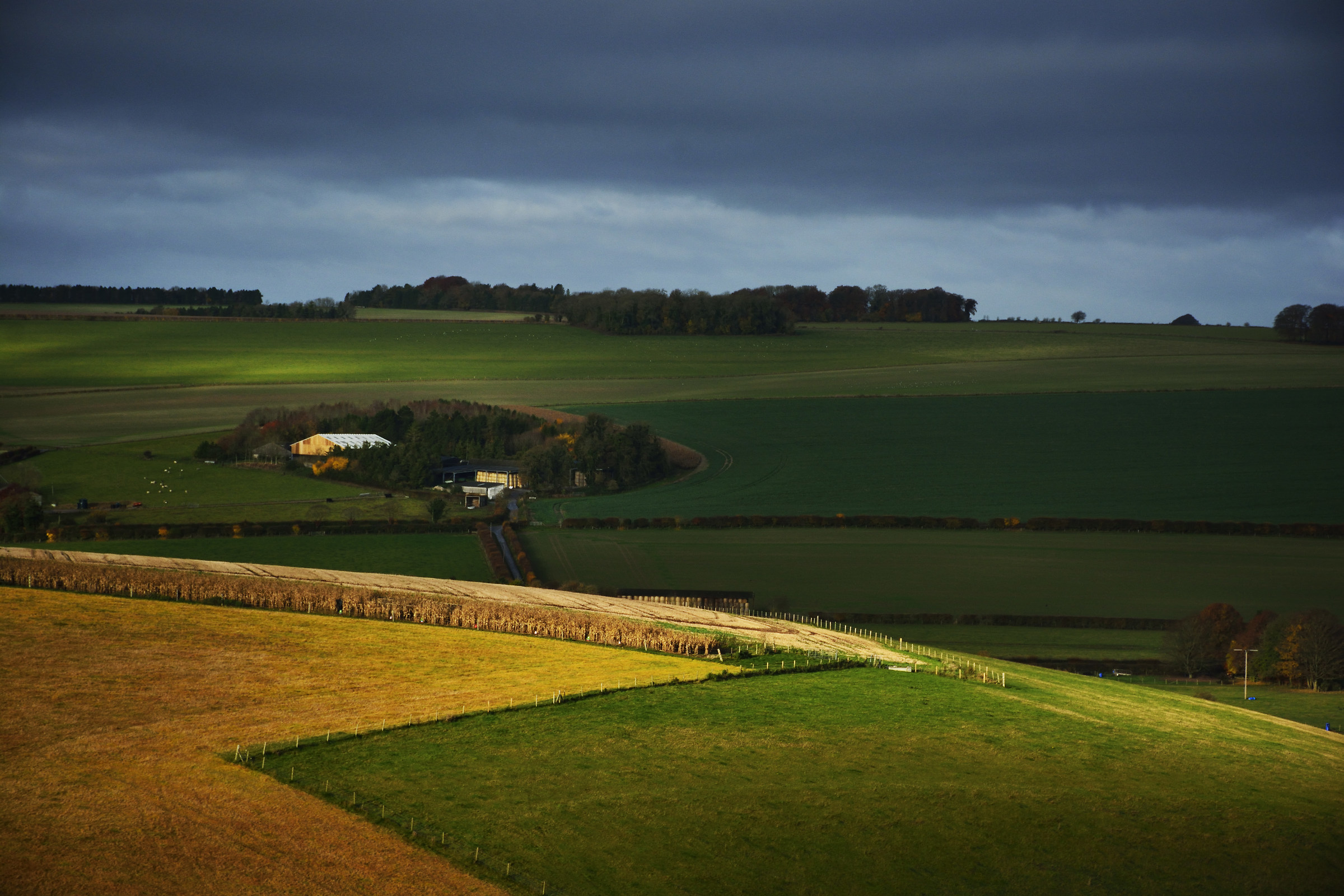 La Fattoria sulla collina