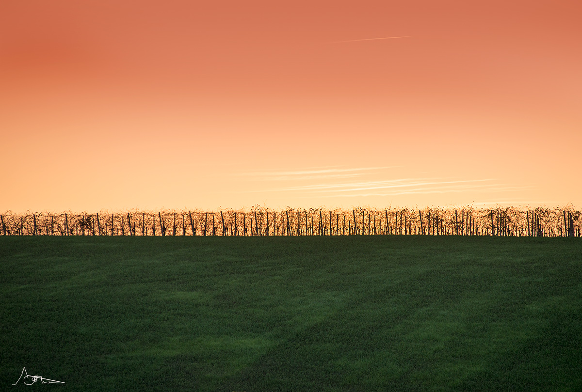 Good sun, good wine.