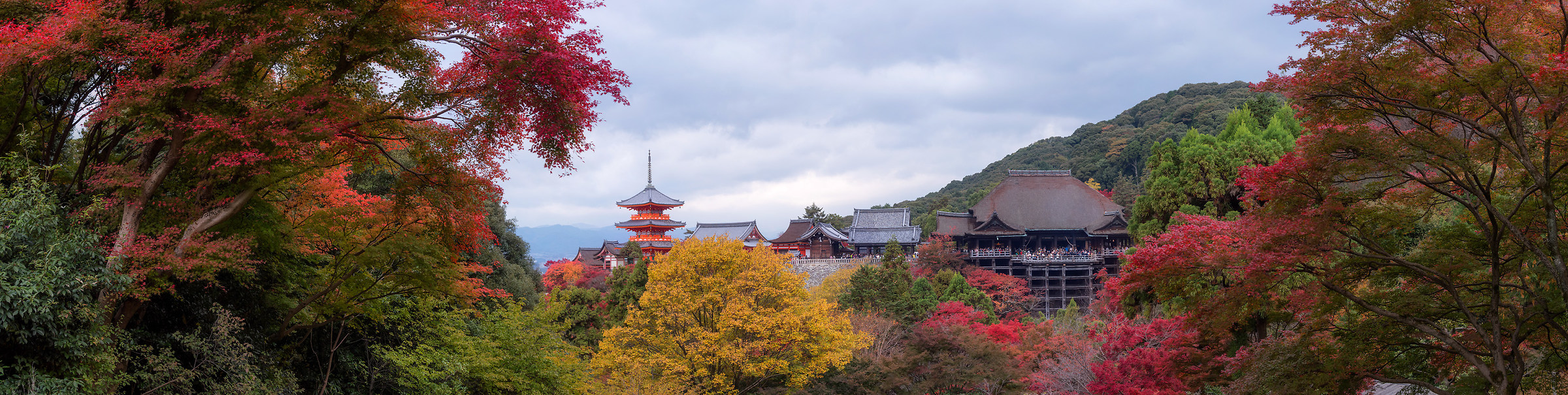 Kyoto pano
