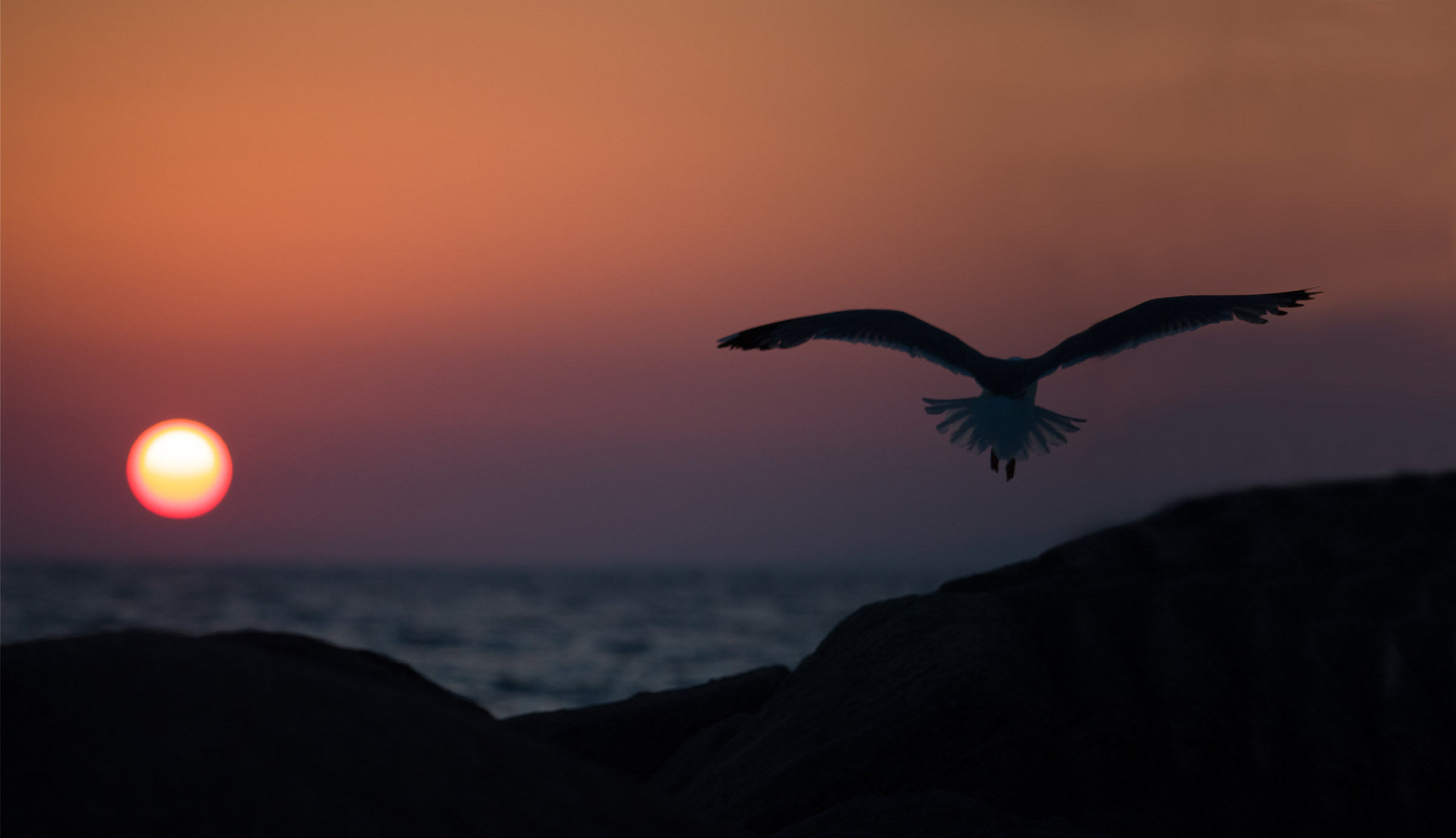 A7s + 40-150 / 2.8 Pro - La Maddalena - Trinity Bay