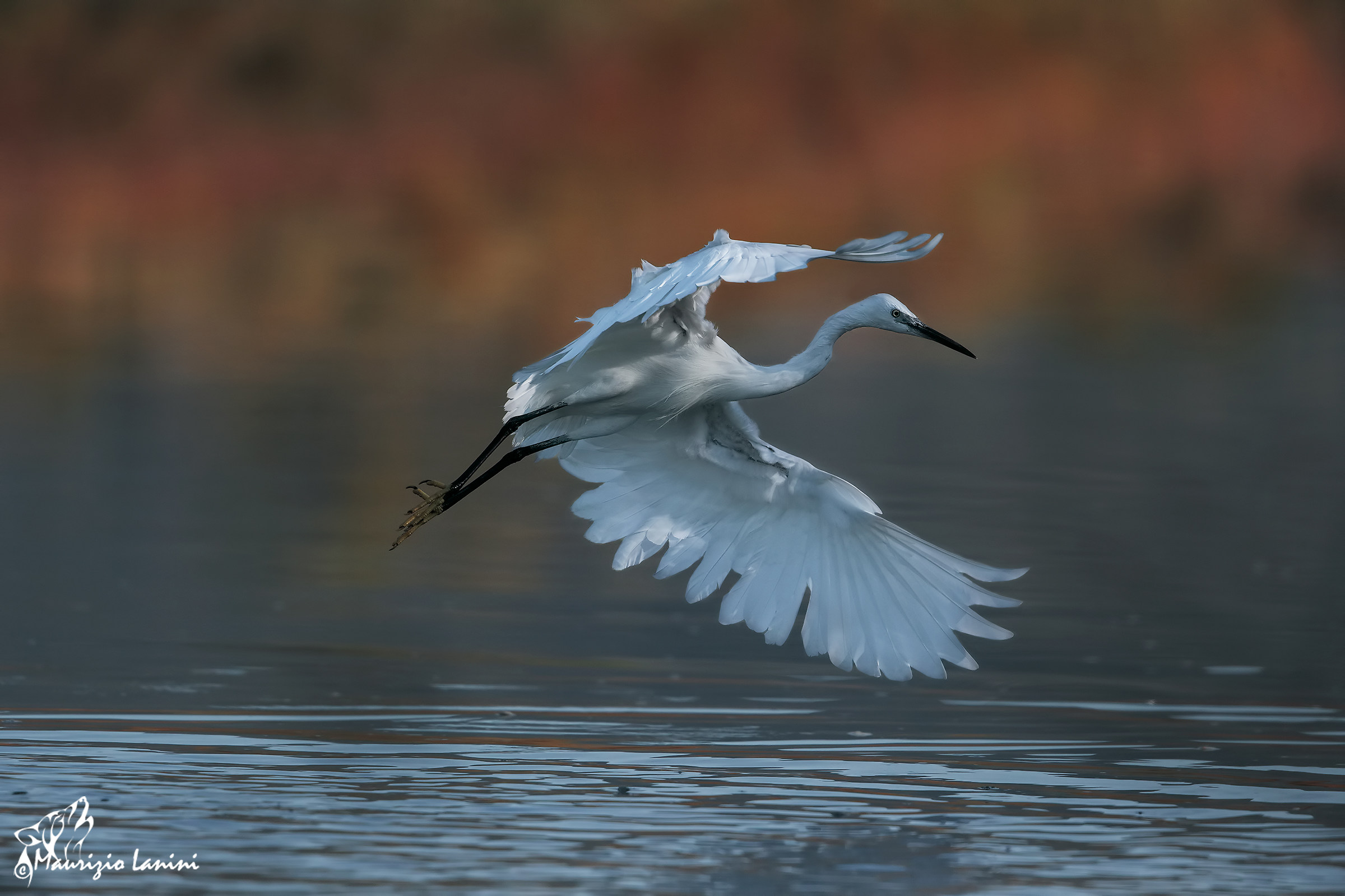 Landing at first light
