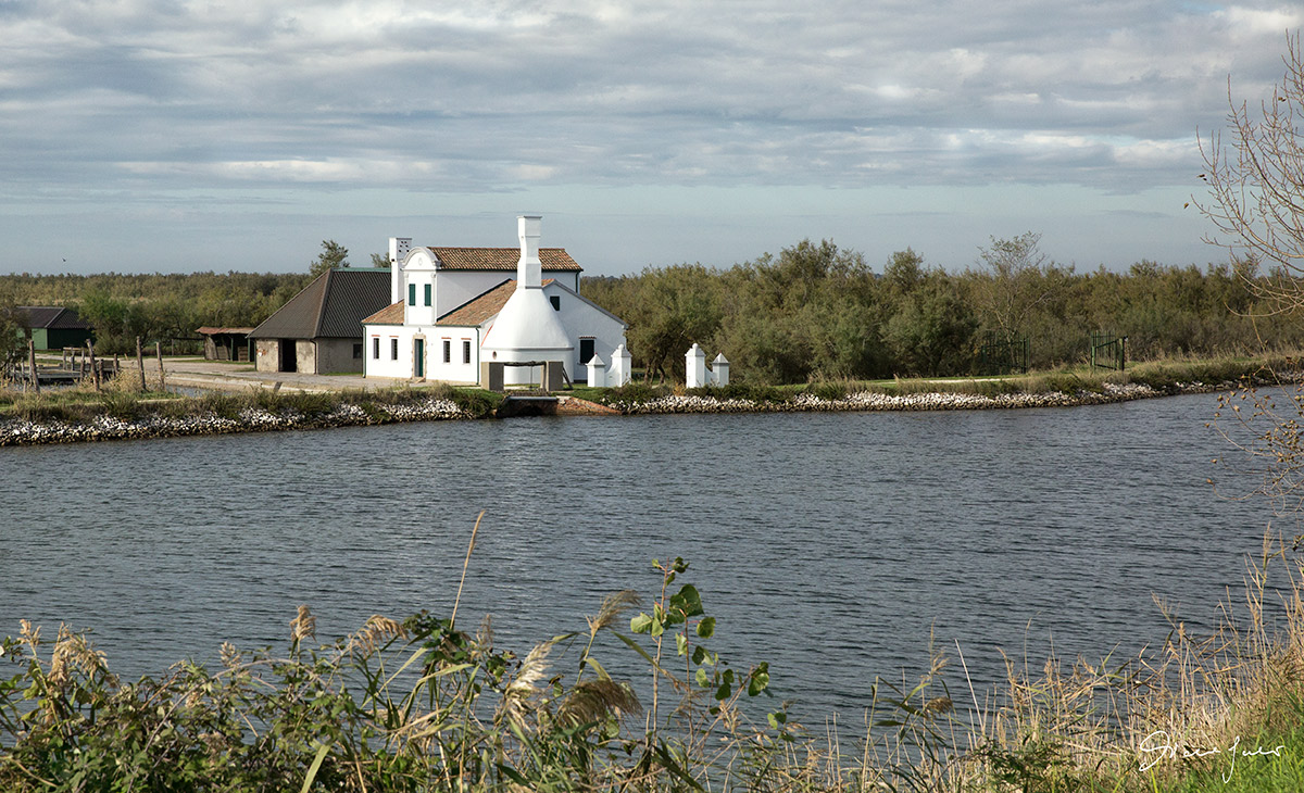 In the valleys of the Po Delta 5