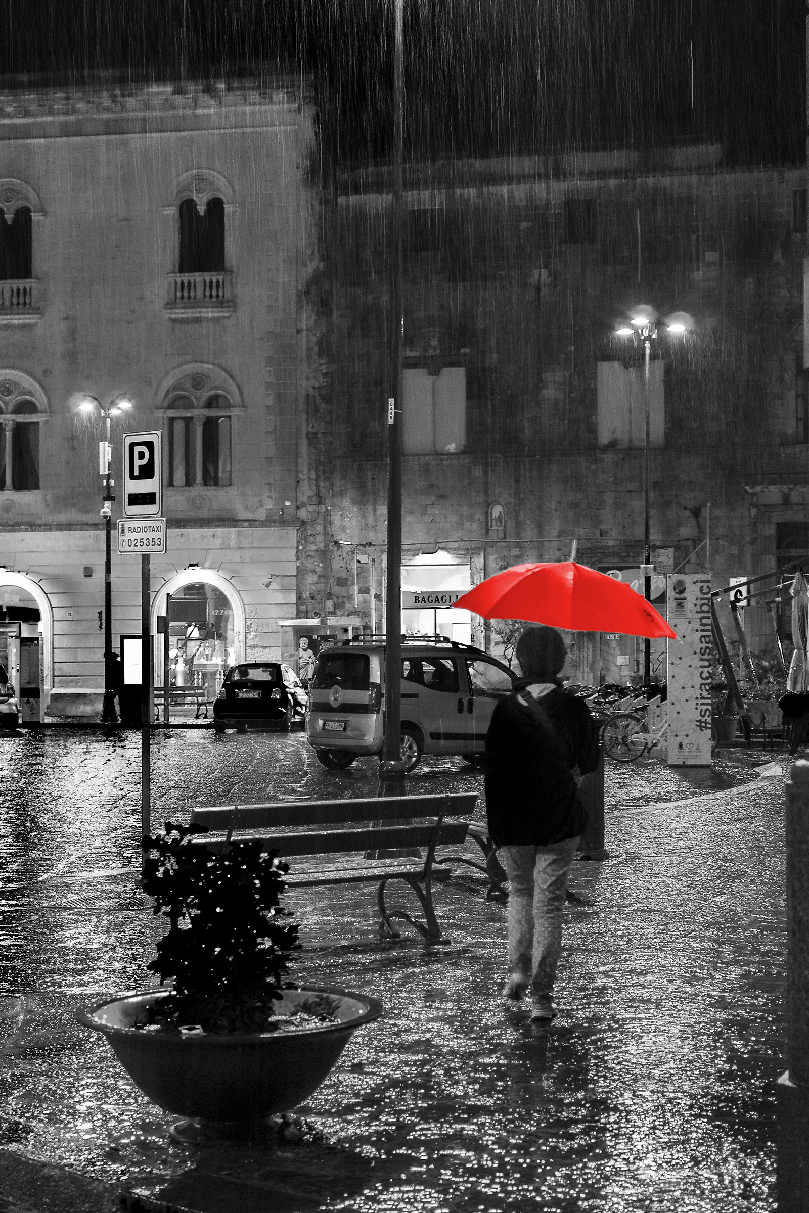 It's raining cats and dogs