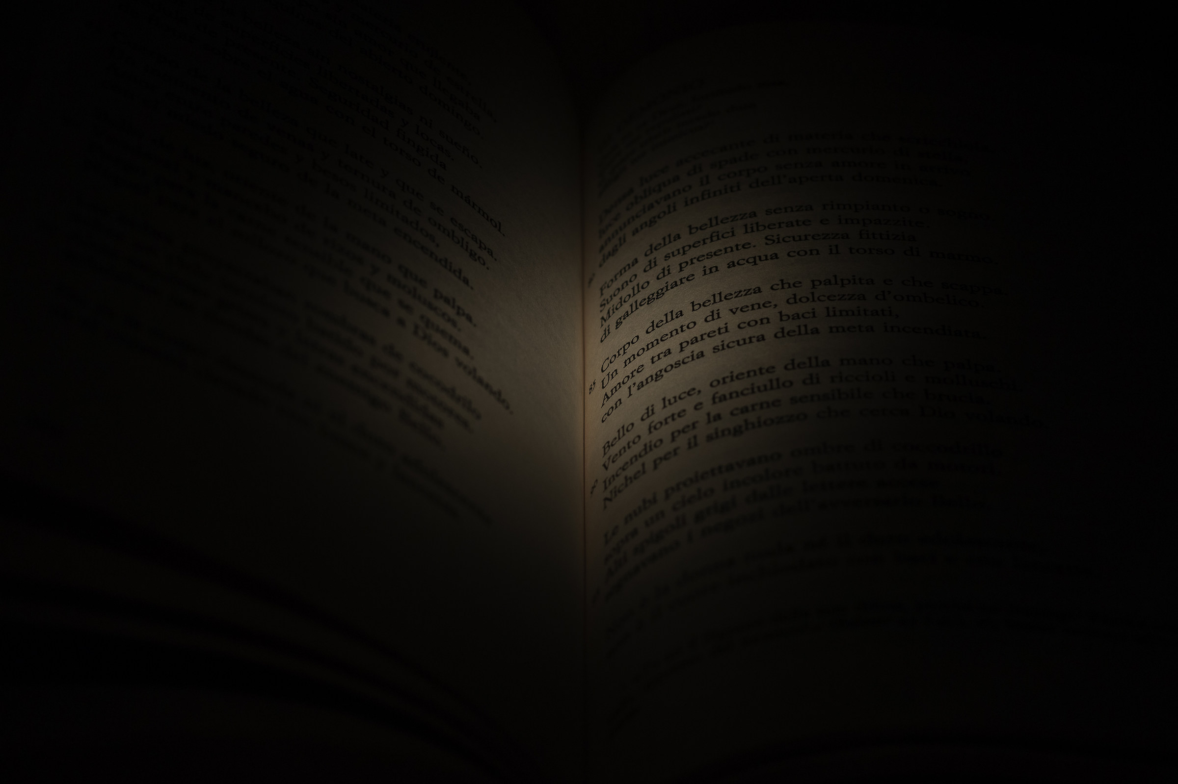 Bellezza, amore, angoscia