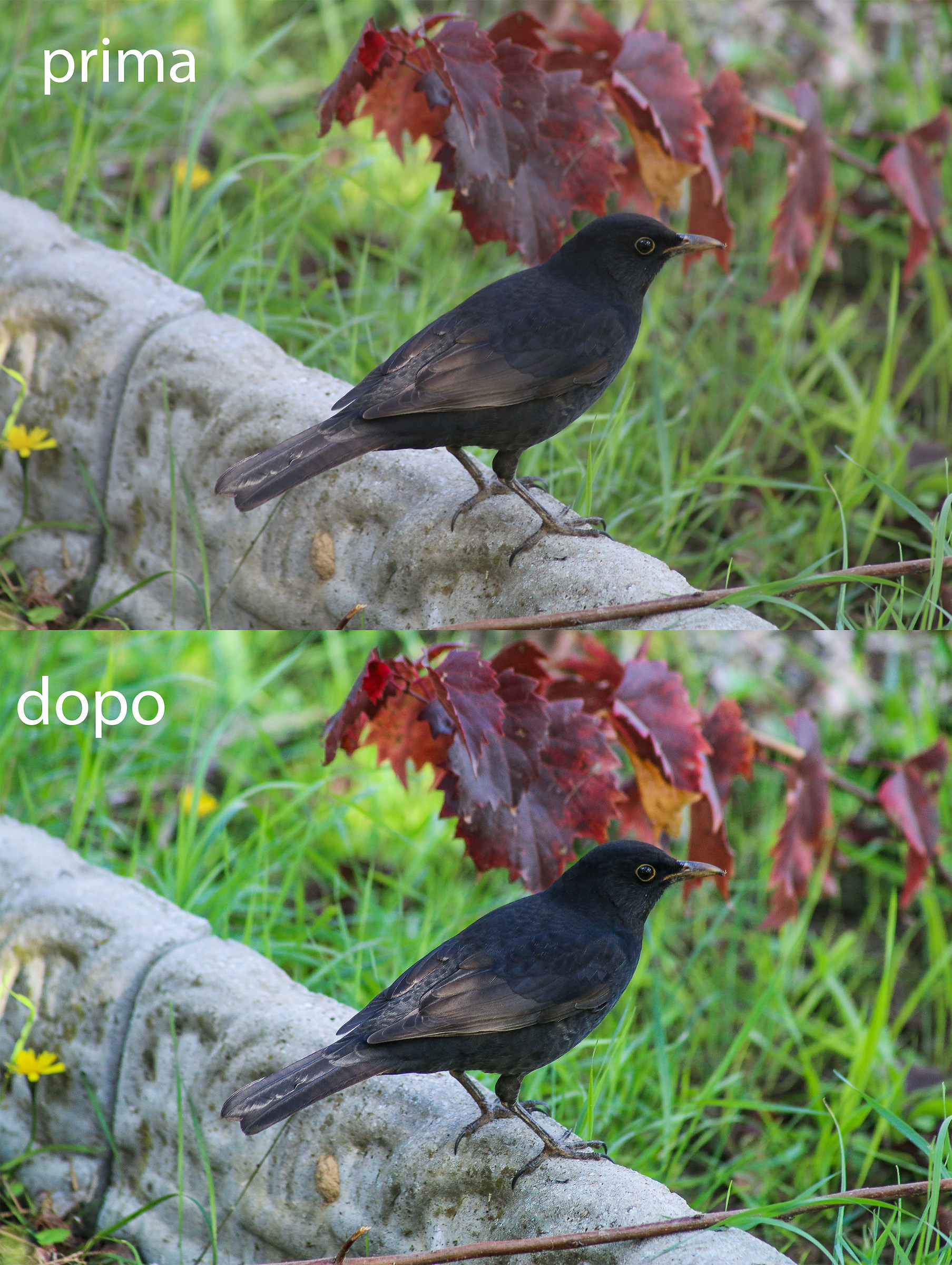 Post production right or wrong?