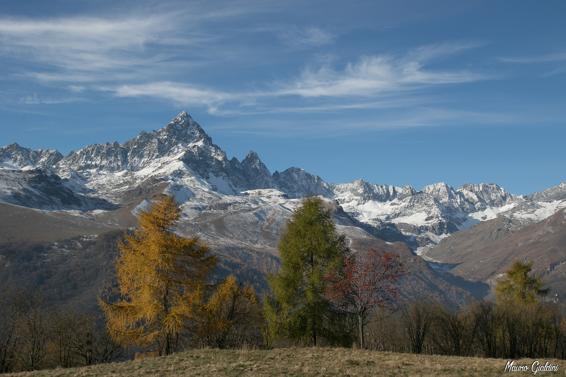 Monte Viso with the autumn dress