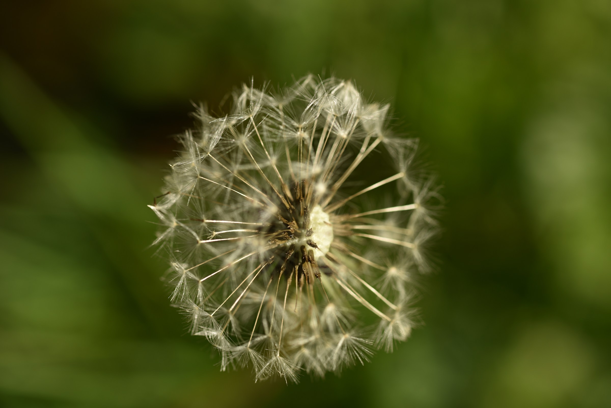 Untitled Photo