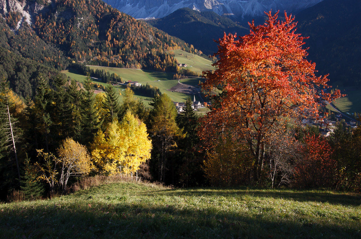 Where autumn is exalted ...