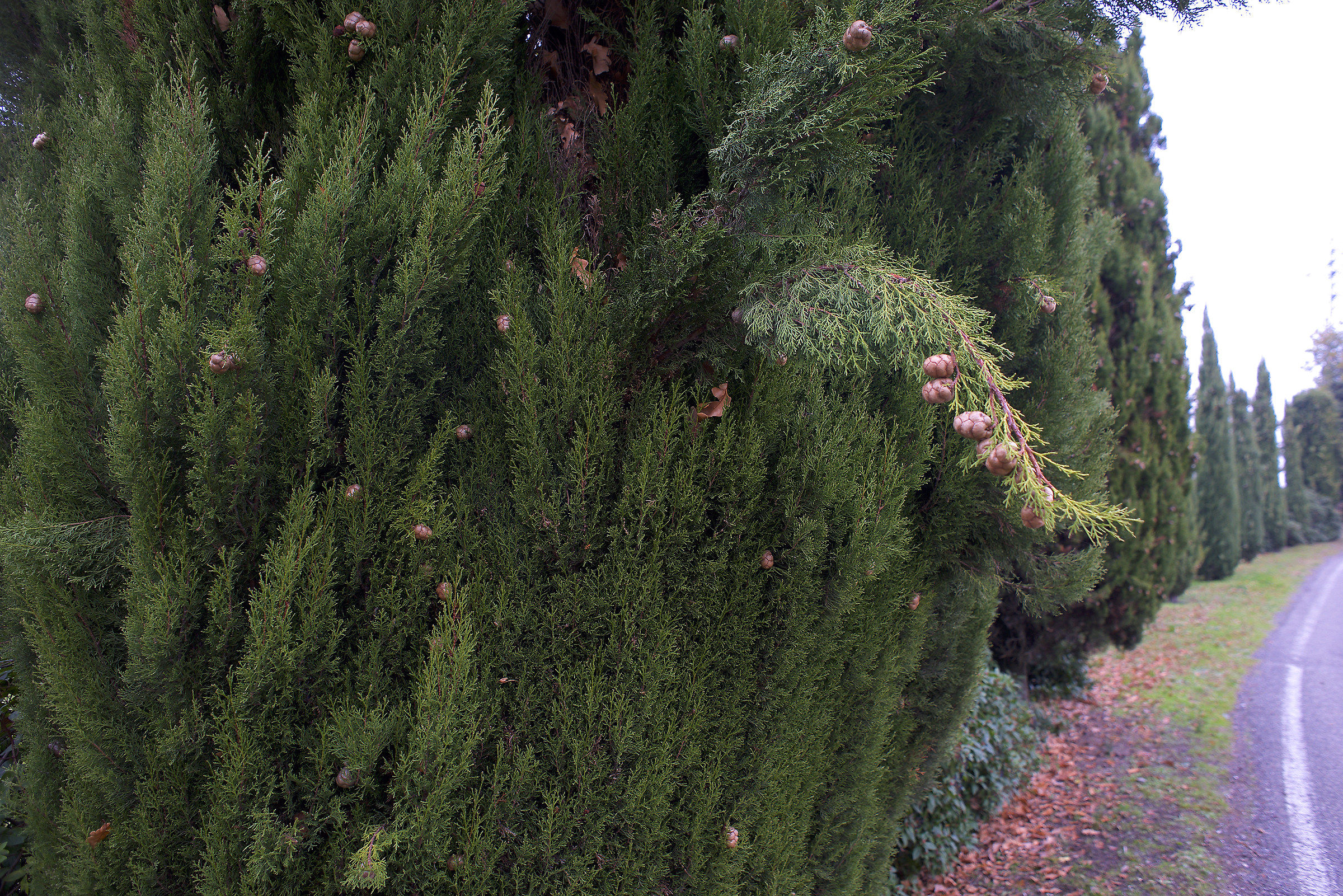 Rapporto intimo con le cose