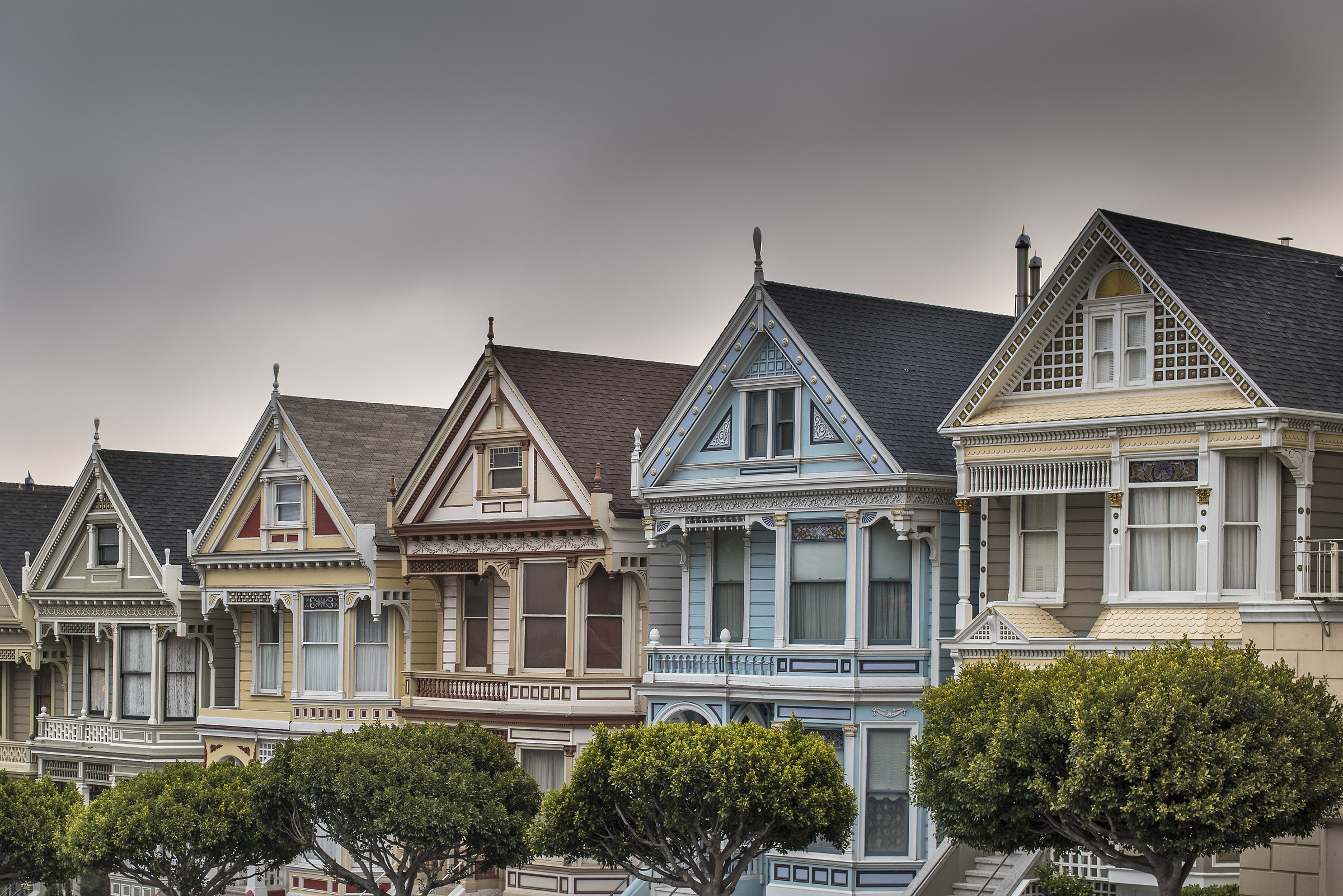 Painted Ladies