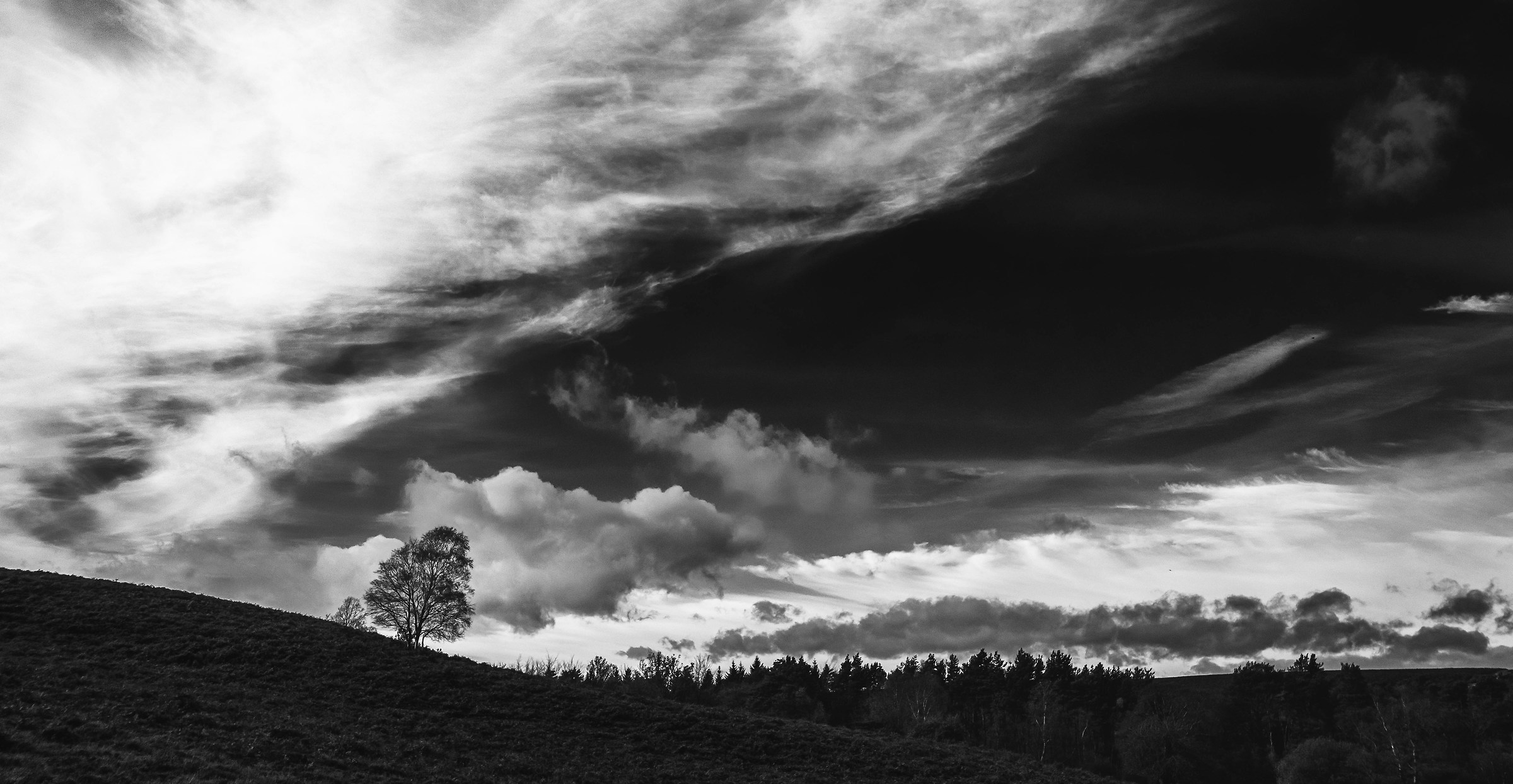 La storia di L'albero e il cielo