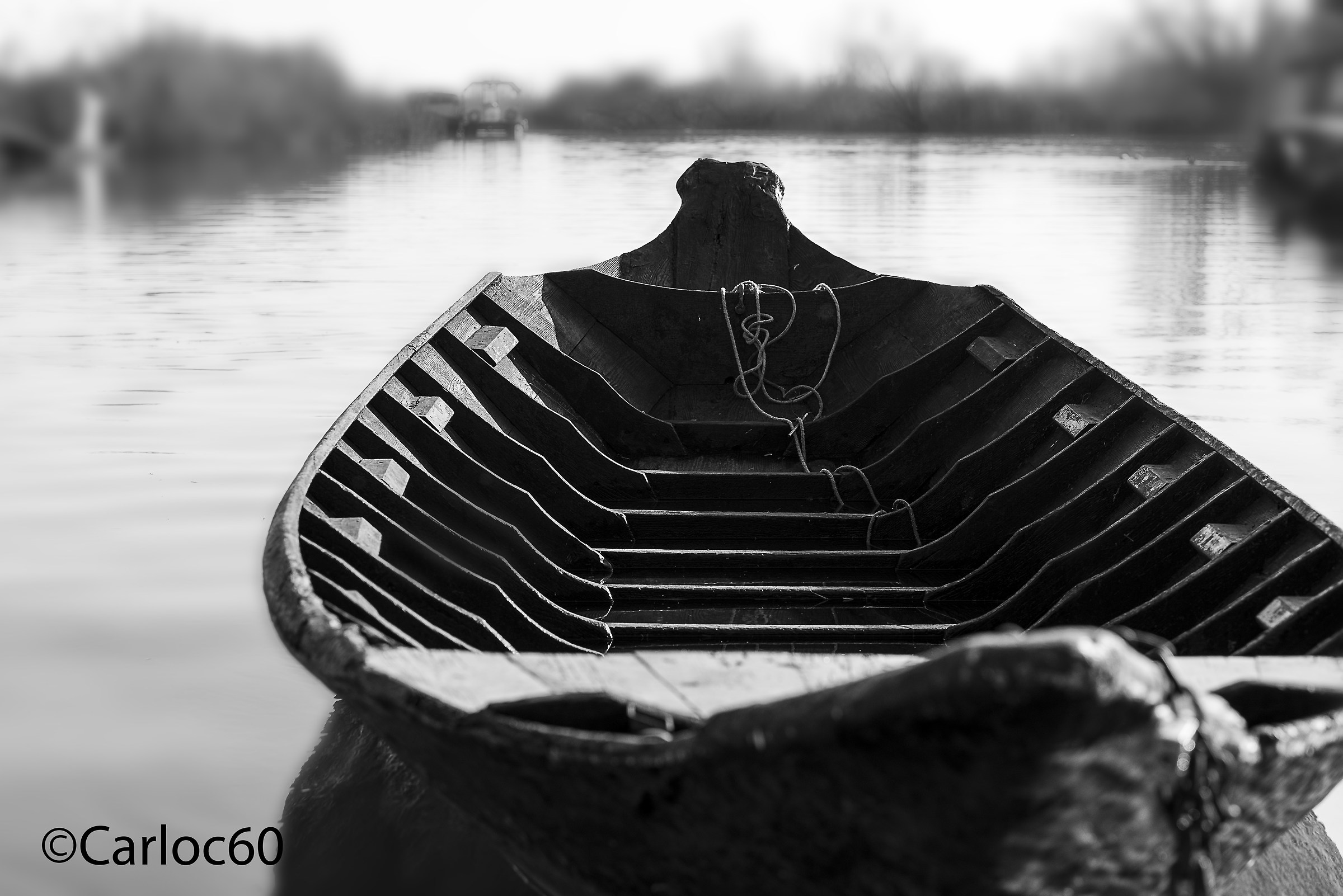 "La Batela" del Mincio