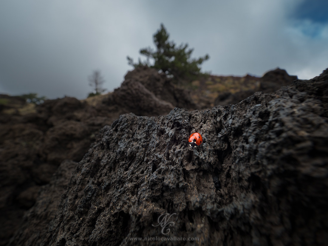 Maltempo in arrivo. Mi cerco un riparo!