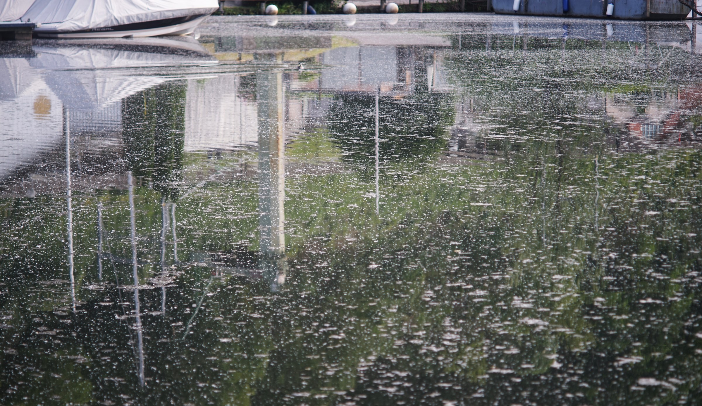 Reflections at the Bolle di Magadino