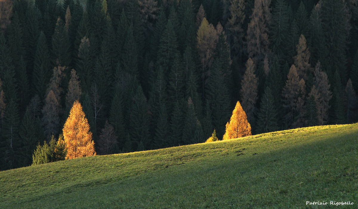 Amici in un giorno di sole