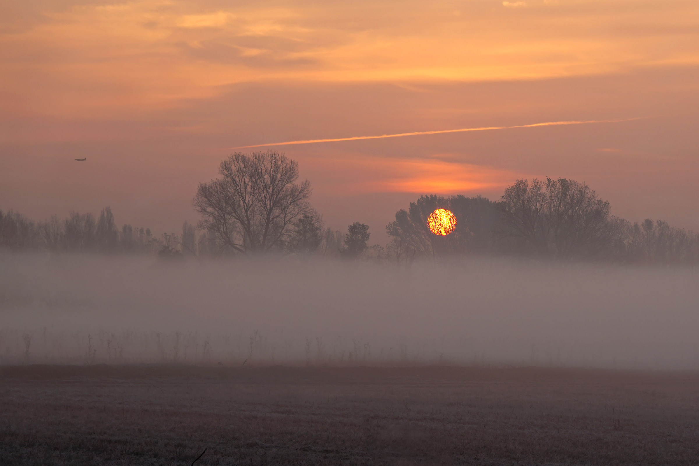 Dall'Abbazia di Chiaravalle