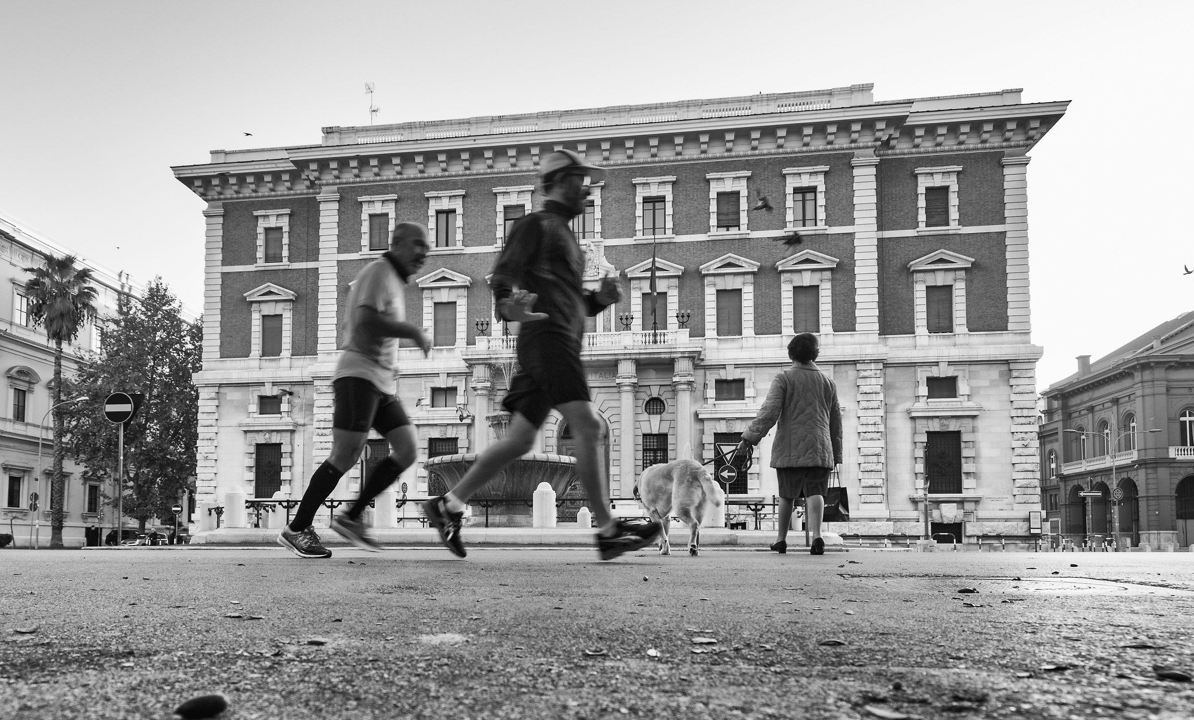 At the foot of Bari # 1