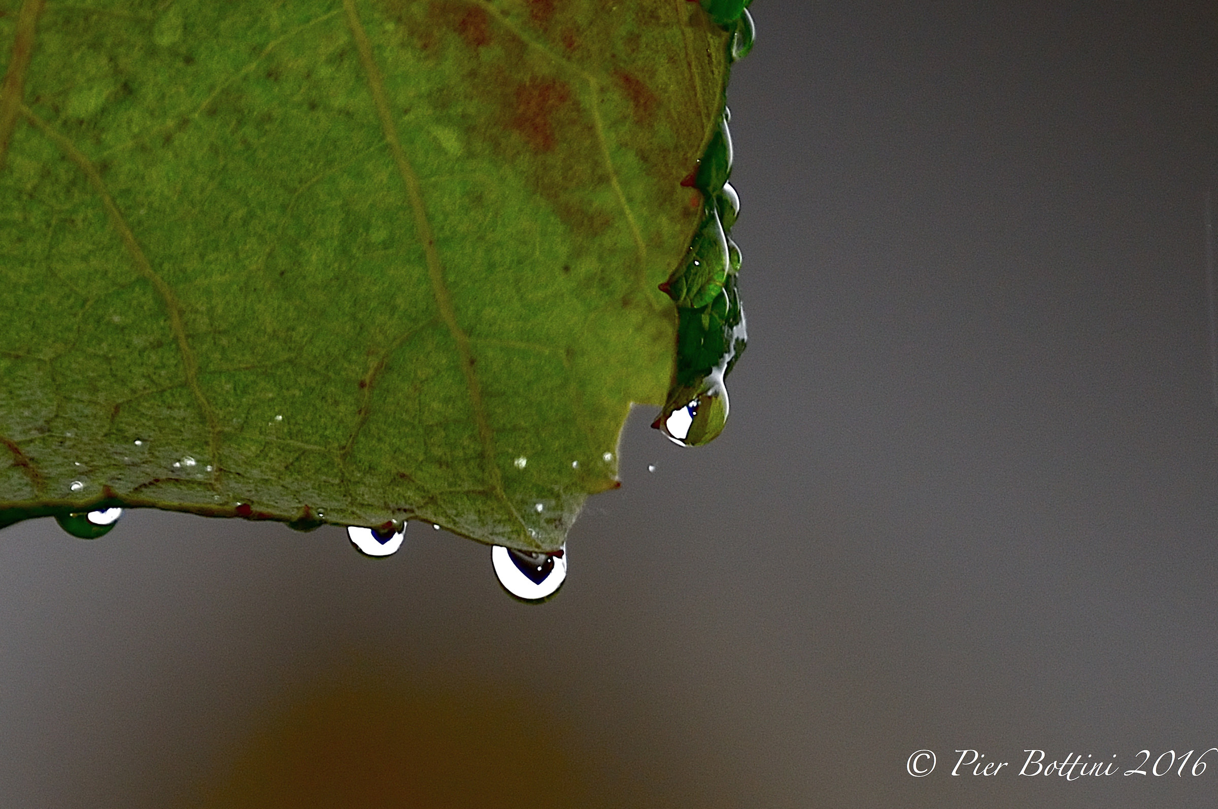 Drops