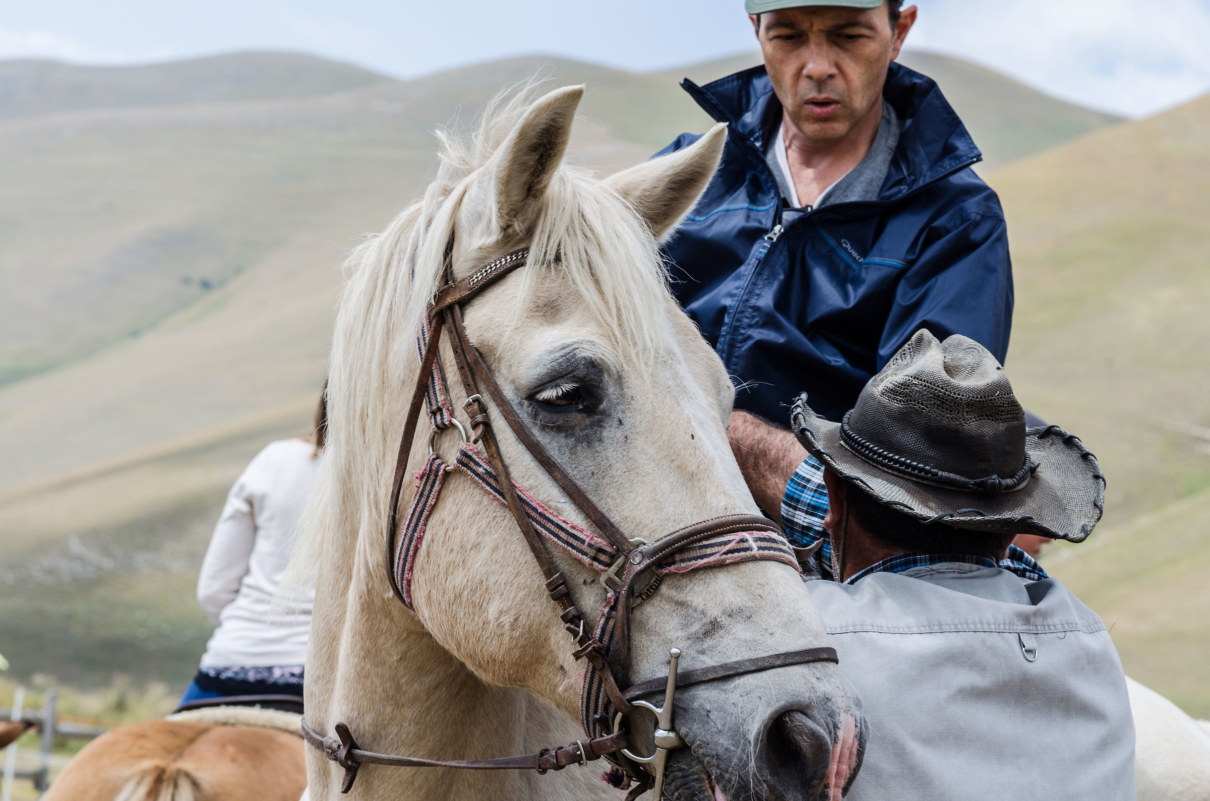 before the exhibition