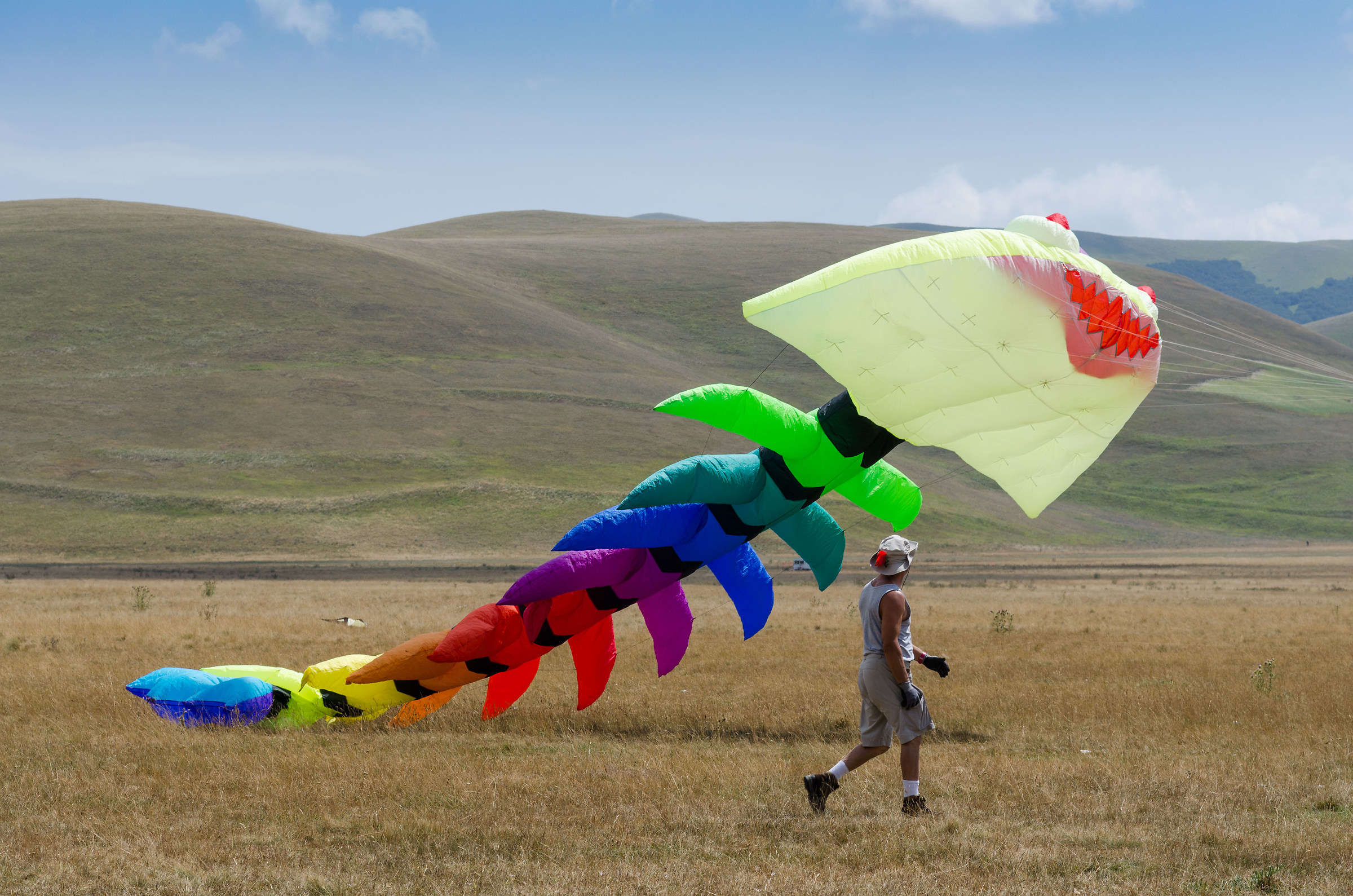 a large kite
