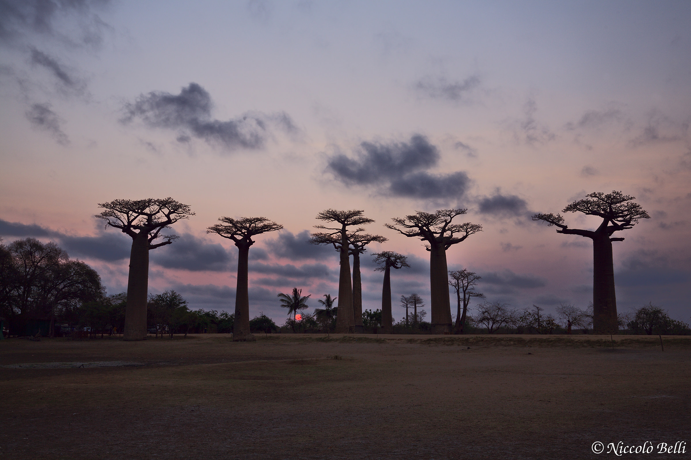 Sunset on Baobab