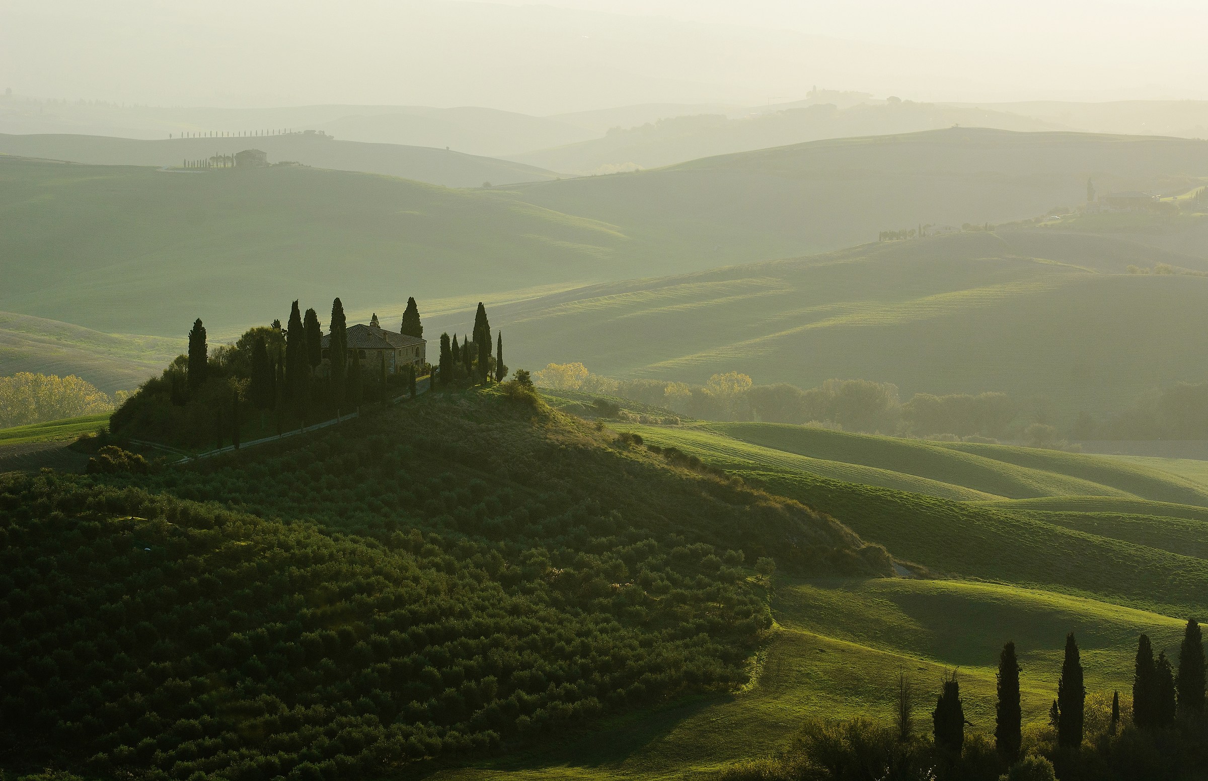 Trip to the Belvedere .....