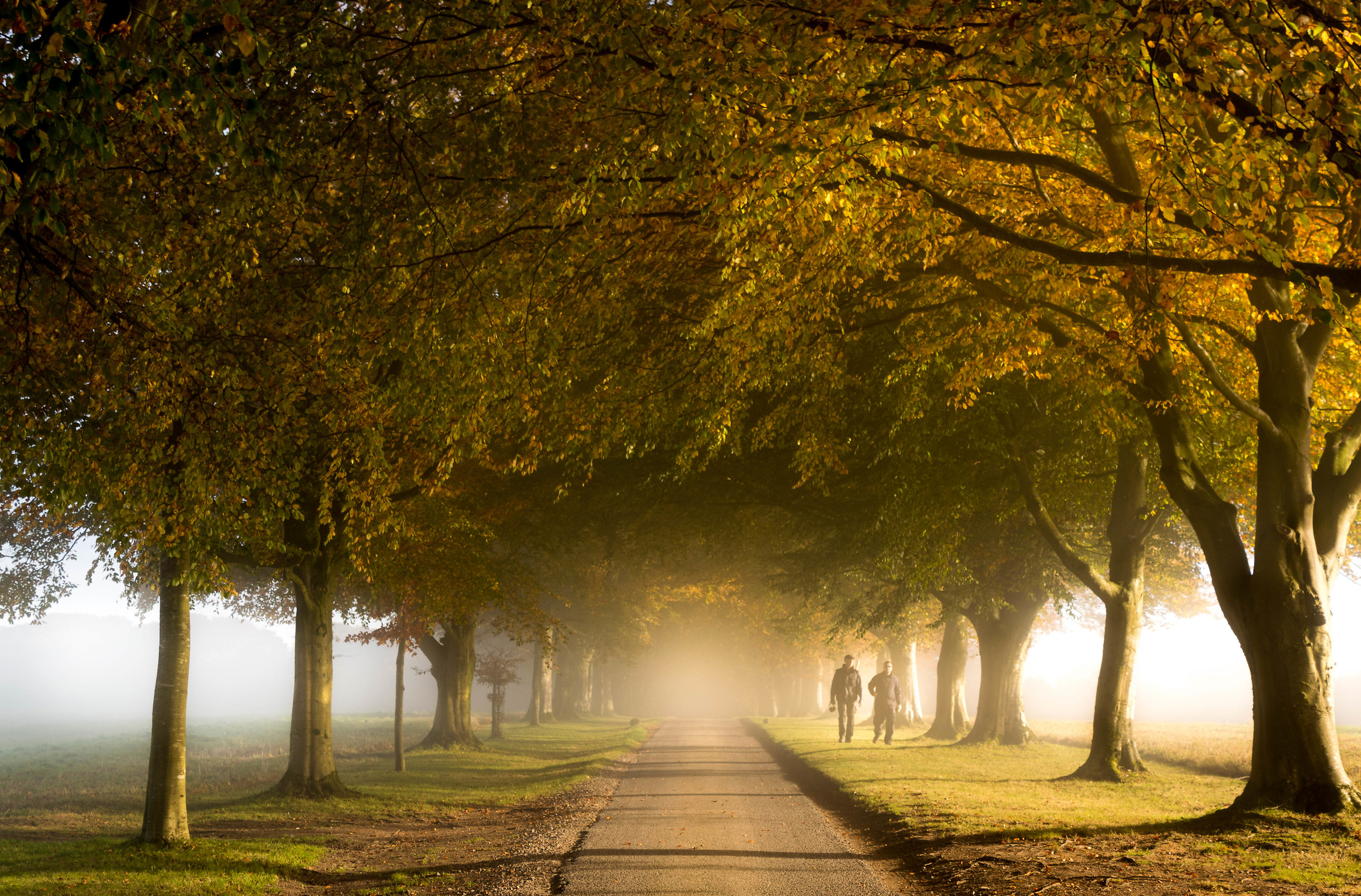 Le nebbie Presto bruciato