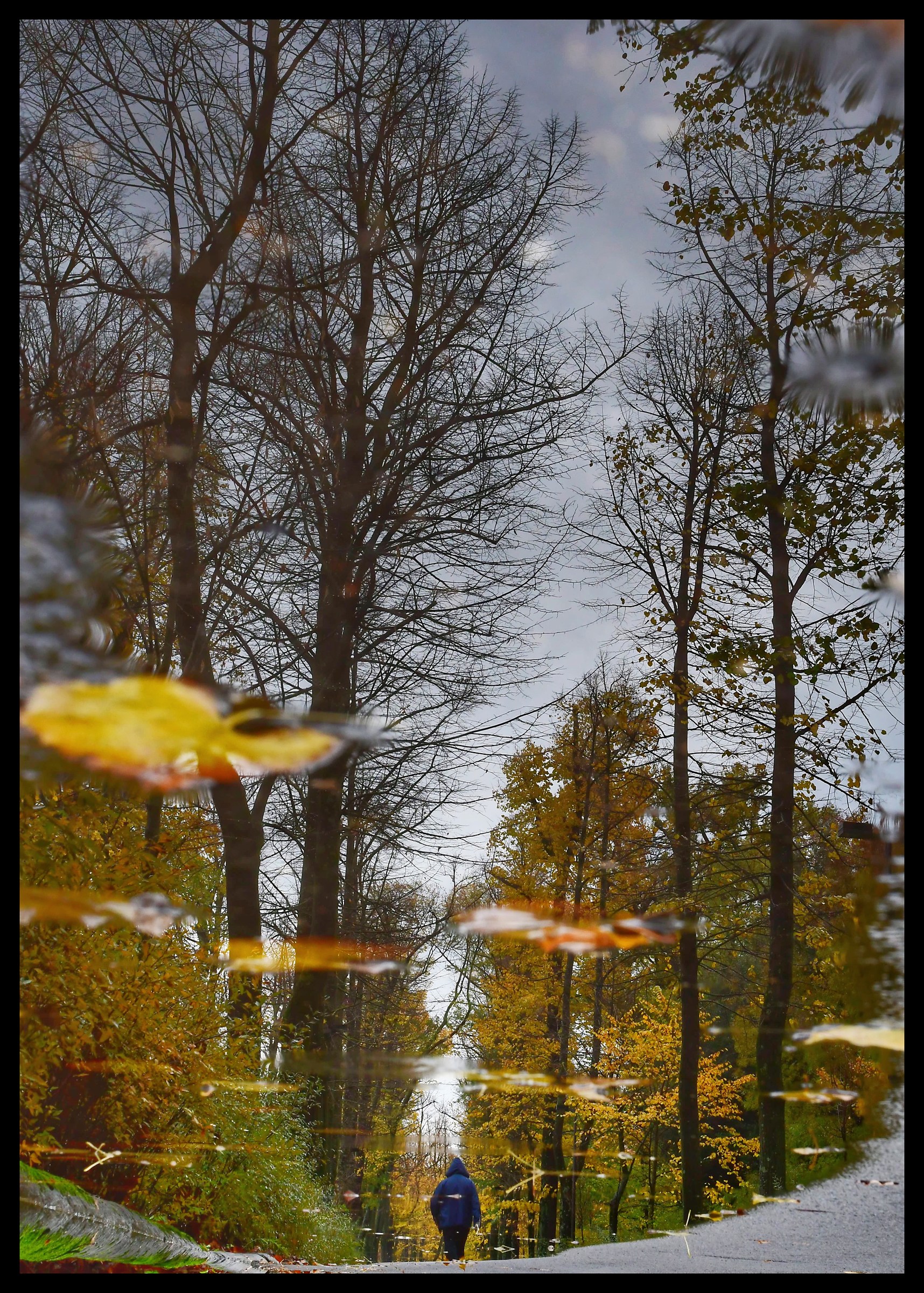 autumn reflections