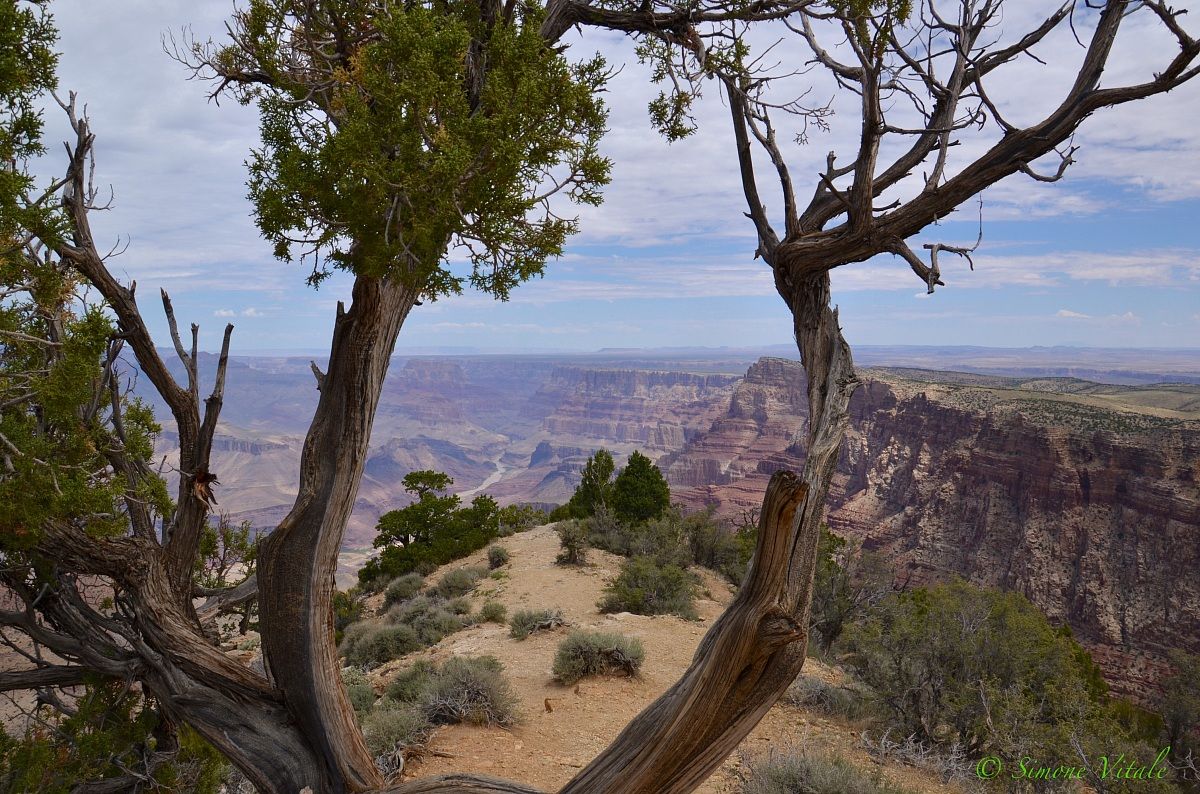 Grand Canyon