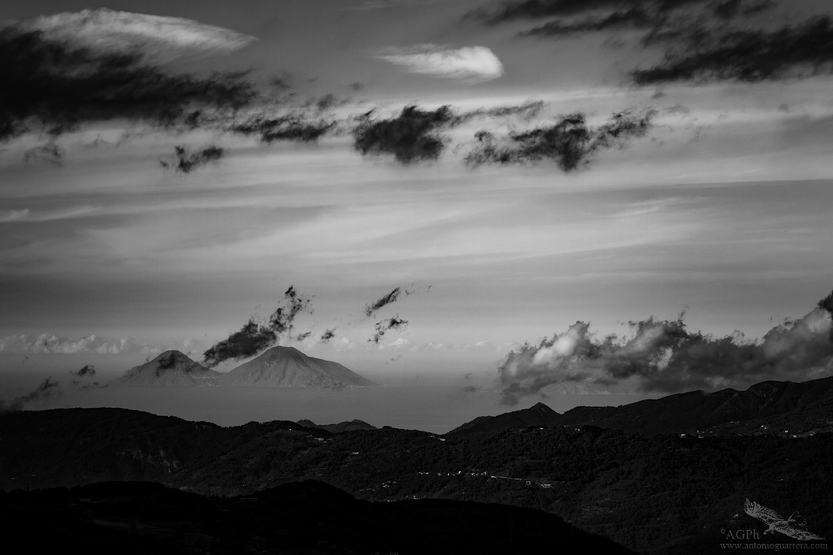 Aeolian ... acclimatized