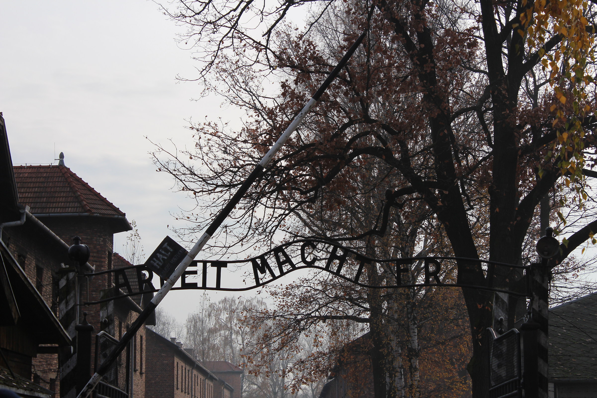Auschwitz " 11-2016 ":