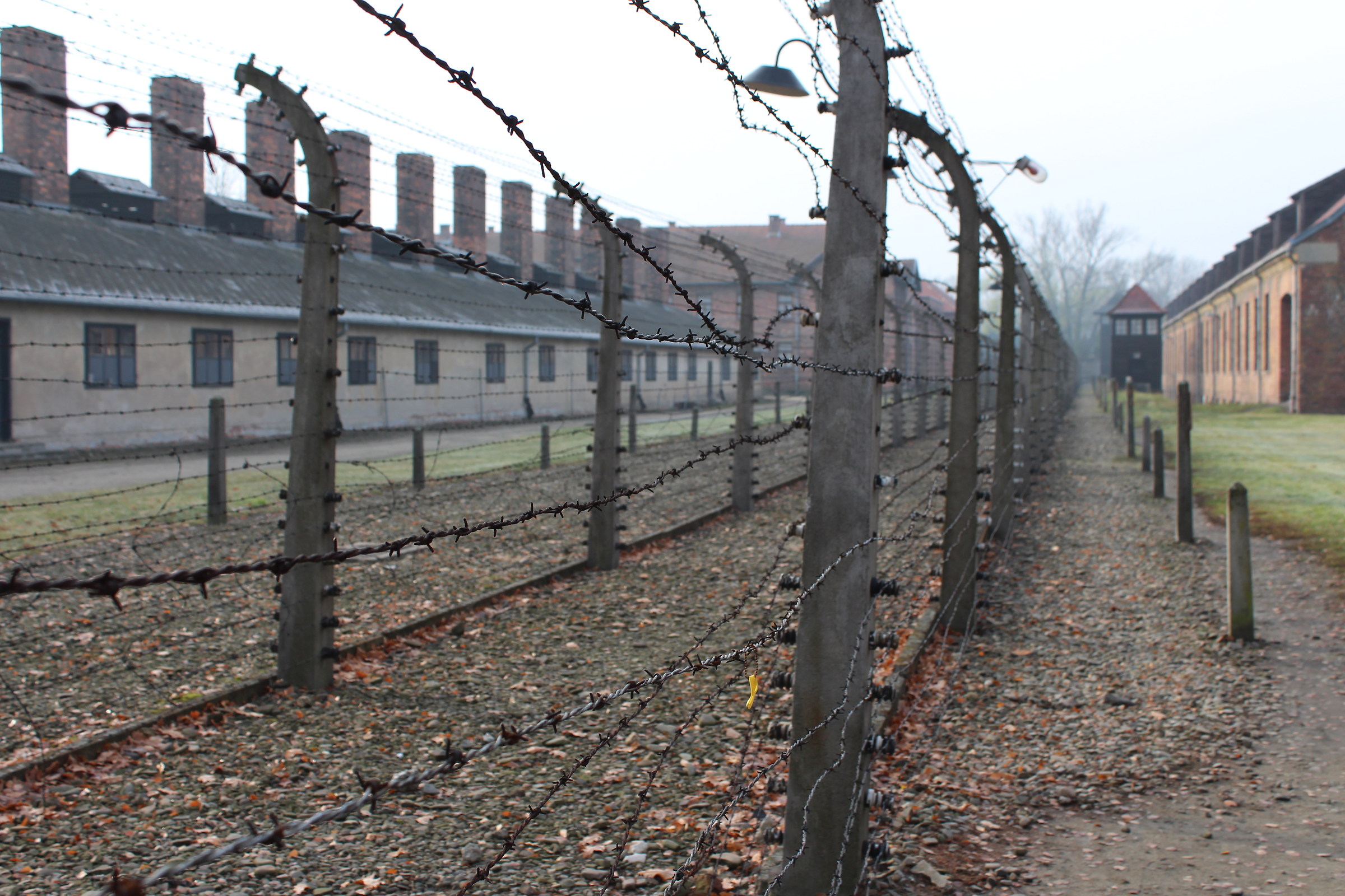 Auschwitz " 11-2016 ":