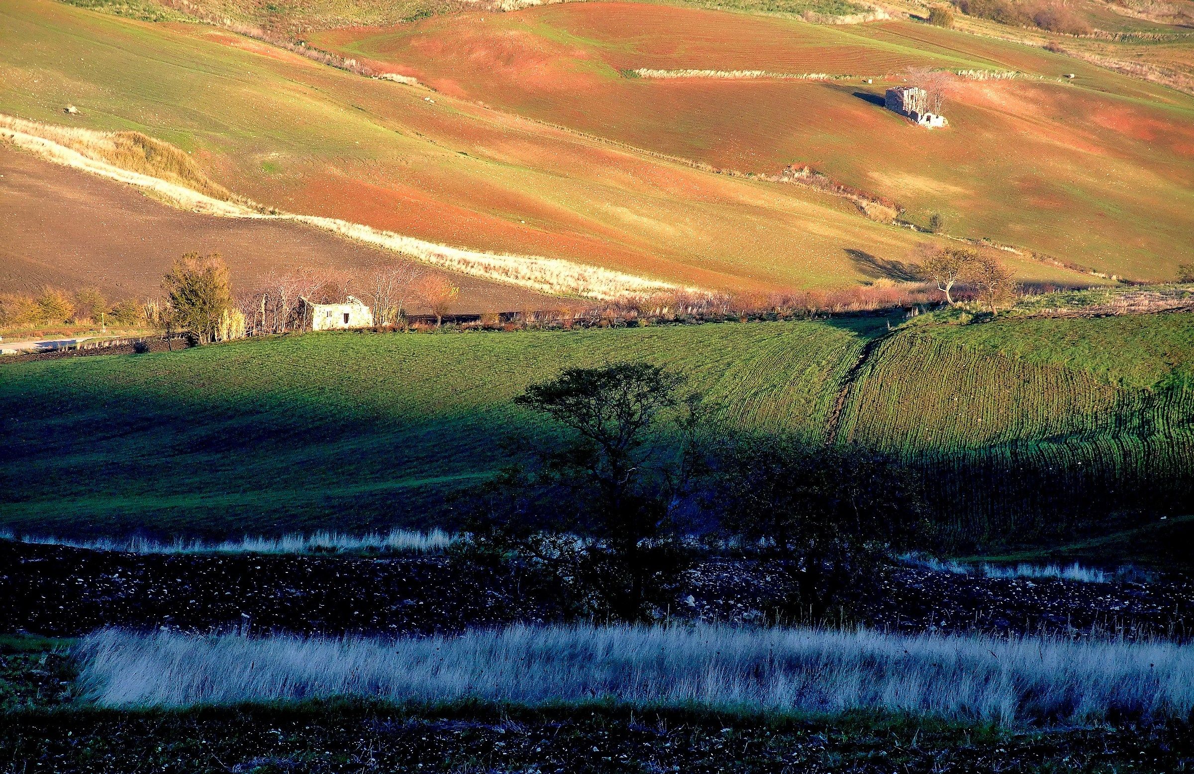 red earth of the Dinner